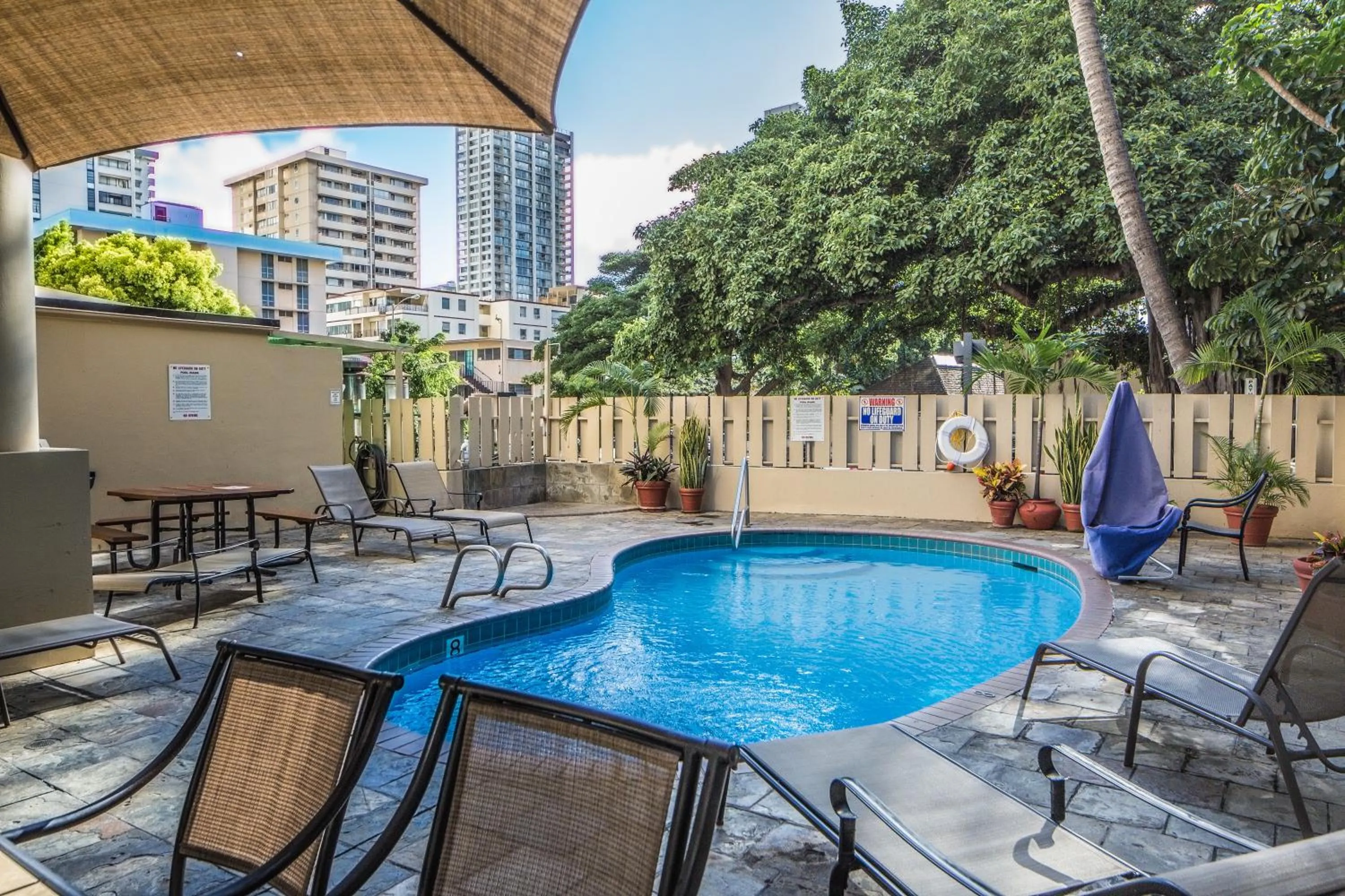 Swimming pool in Renovated Studio with Pool Access at Aloha Surf