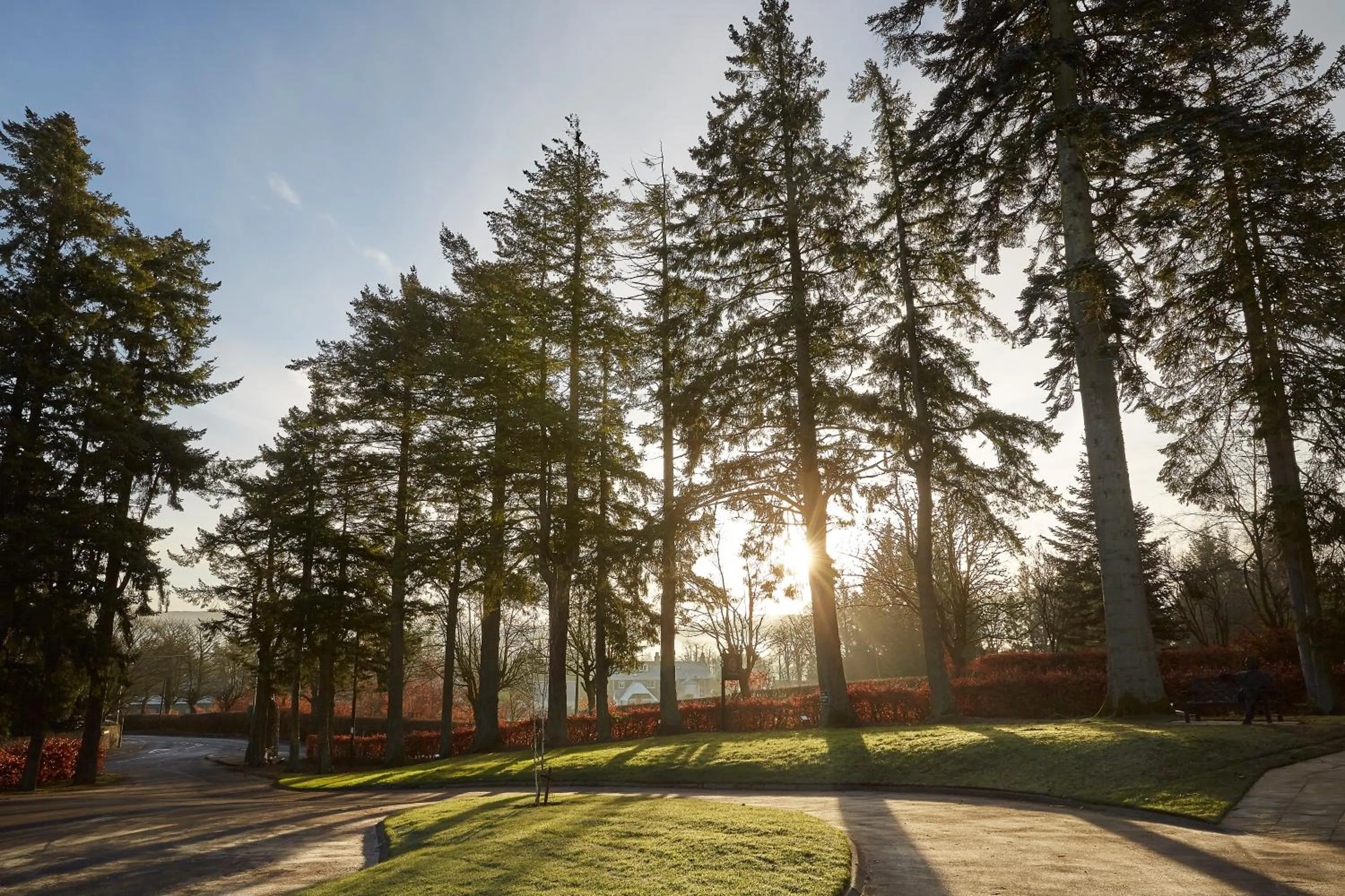Garden in Cairn Lodge