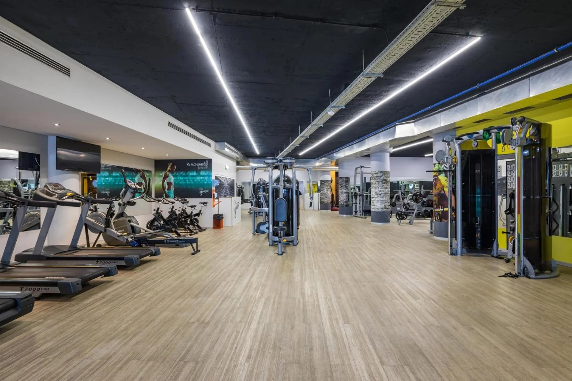 Activities in The Views Monumental