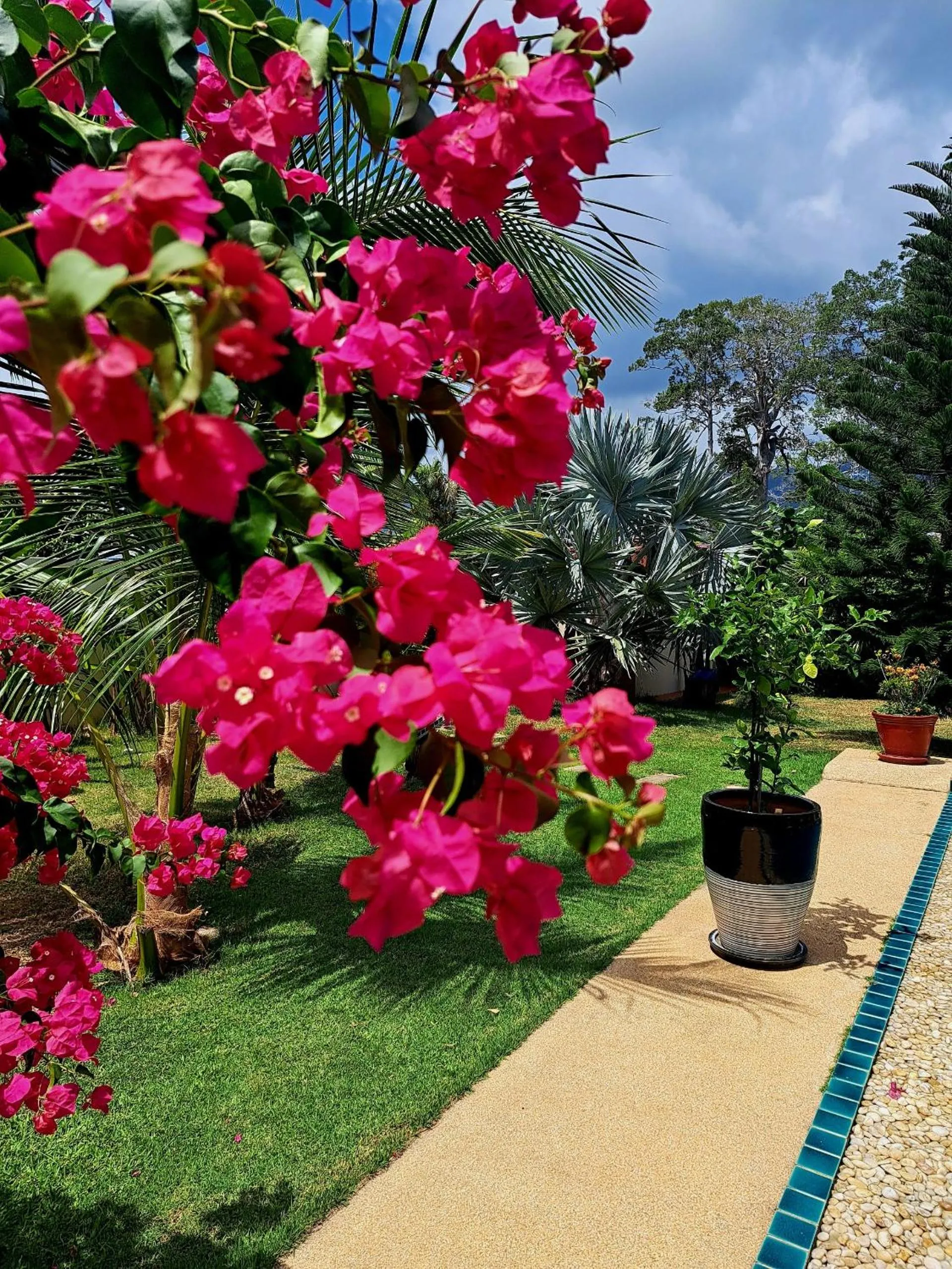 Garden in Laura's Guest House-adult only-