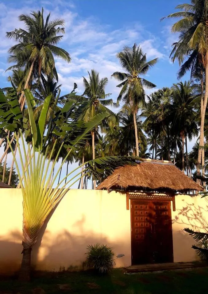 Garden in Laura's Guest House-adult only-