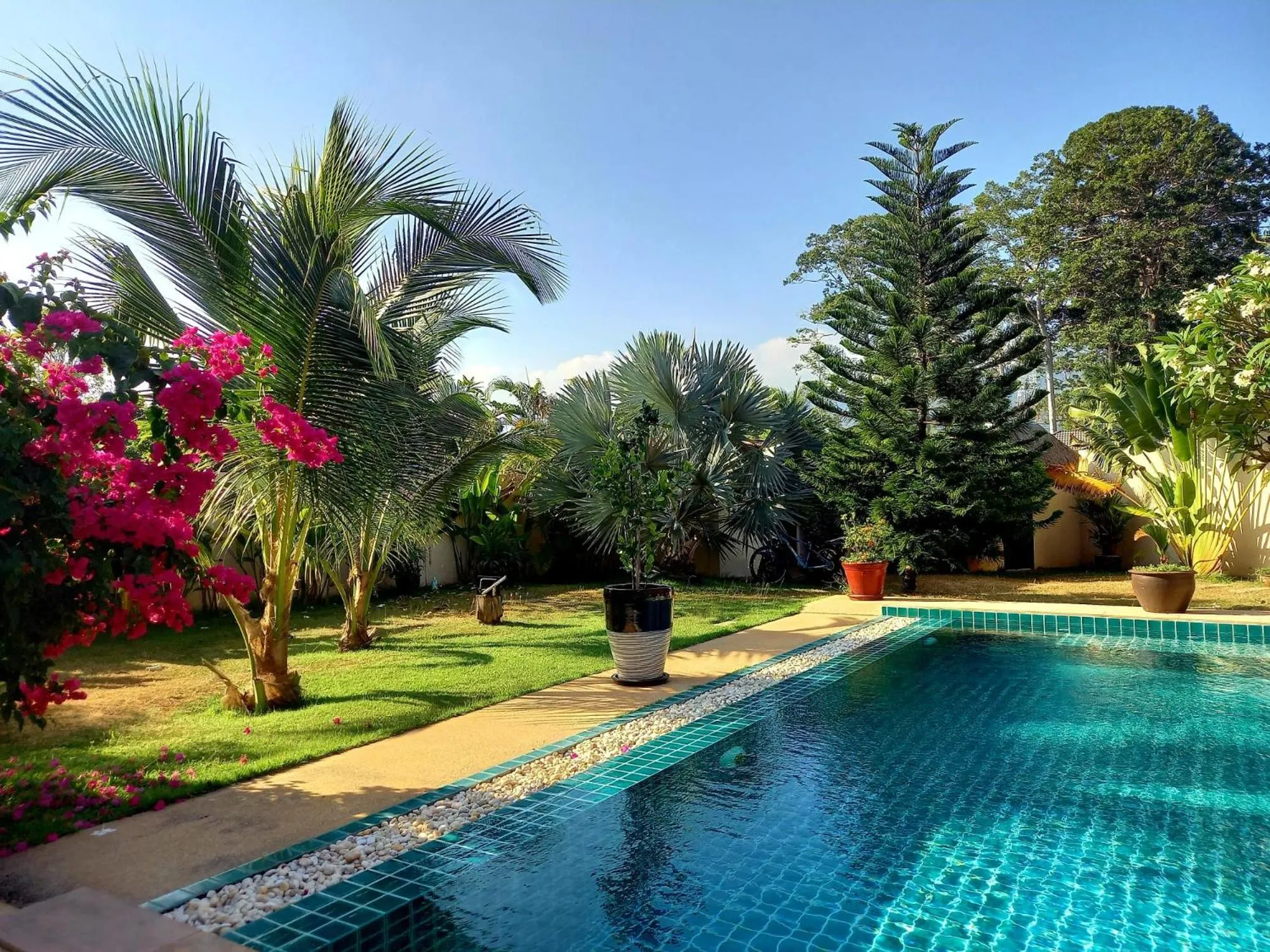 Garden in Laura's Guest House-adult only-