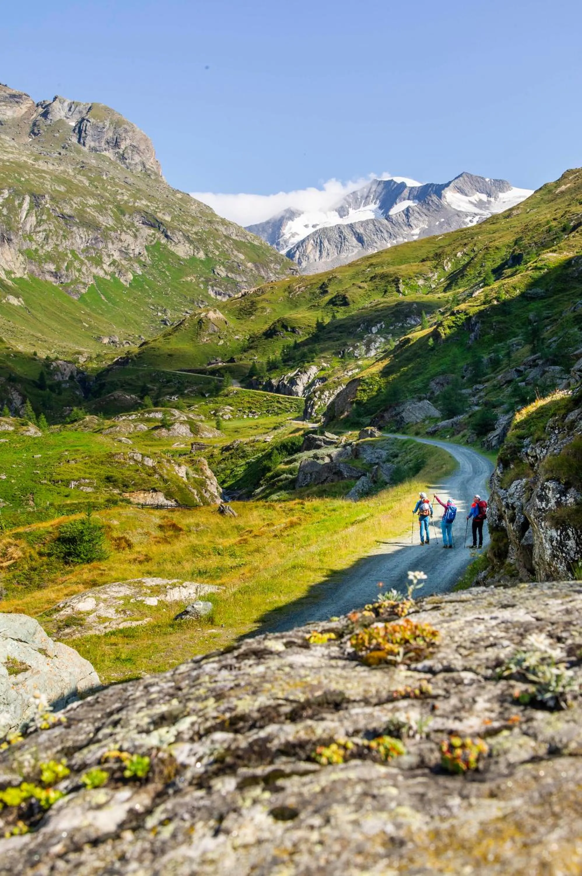 Activities in Heimat - Das Natur Resort