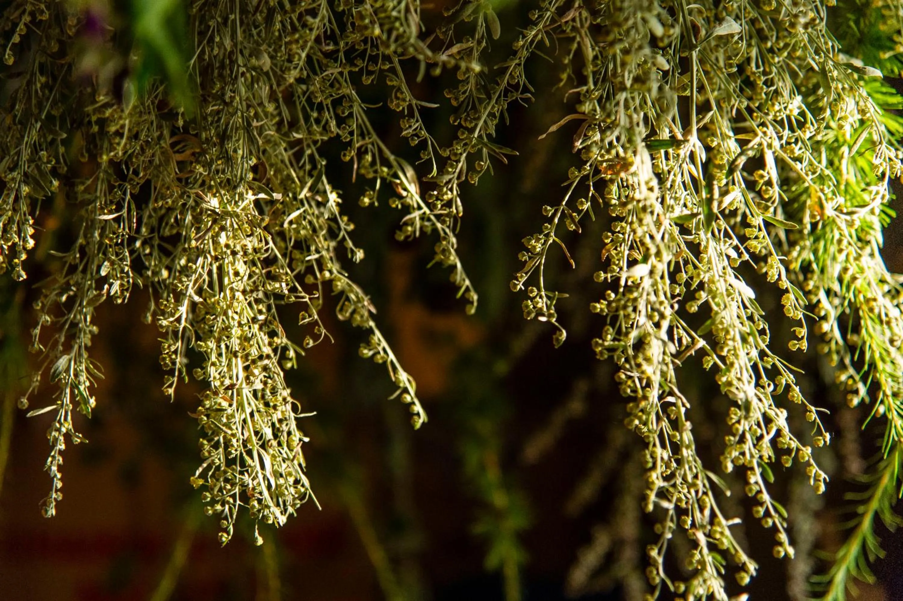 Natural landscape in Heimat - Das Natur Resort