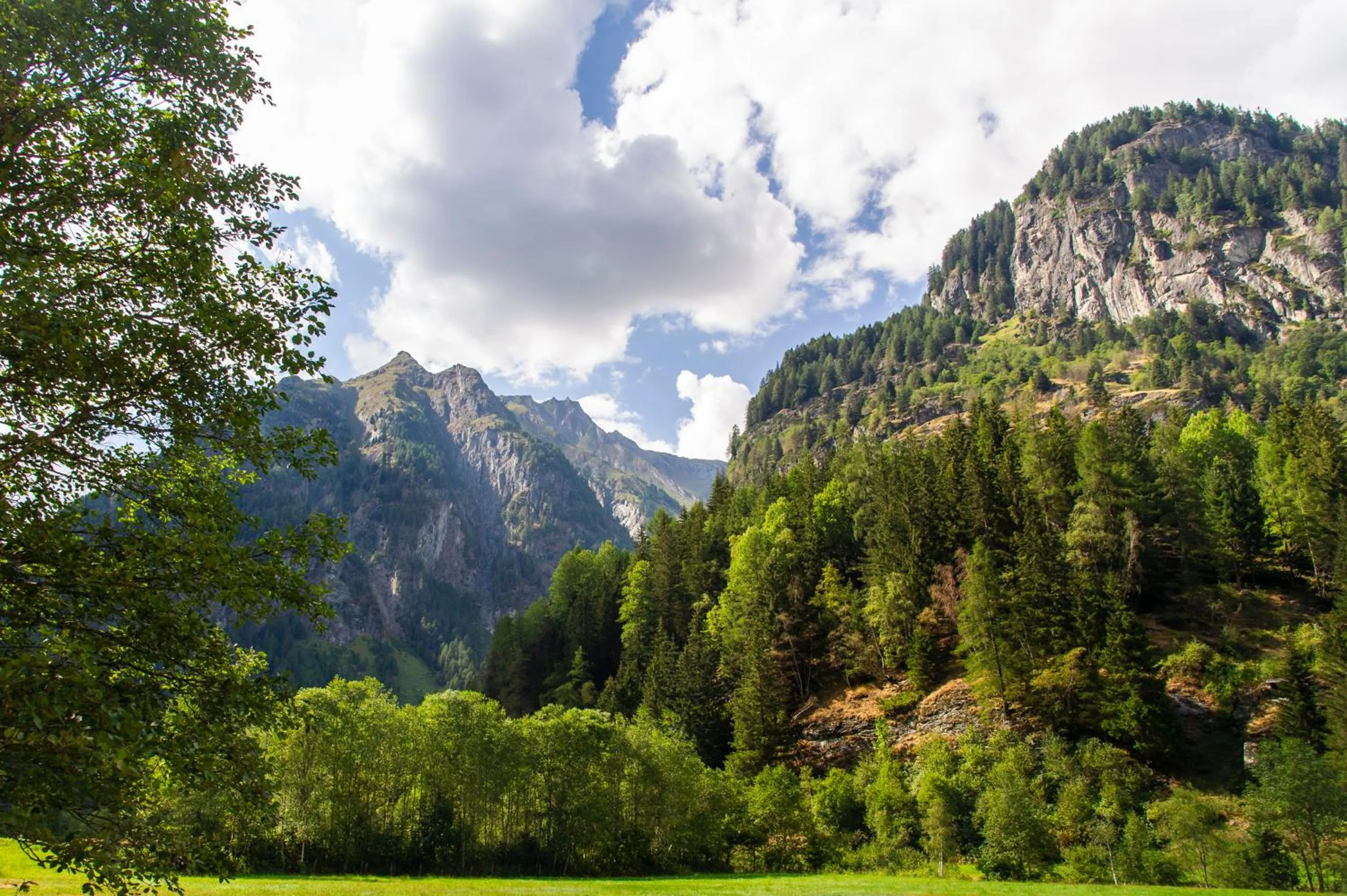 Nearby landmark in Heimat - Das Natur Resort