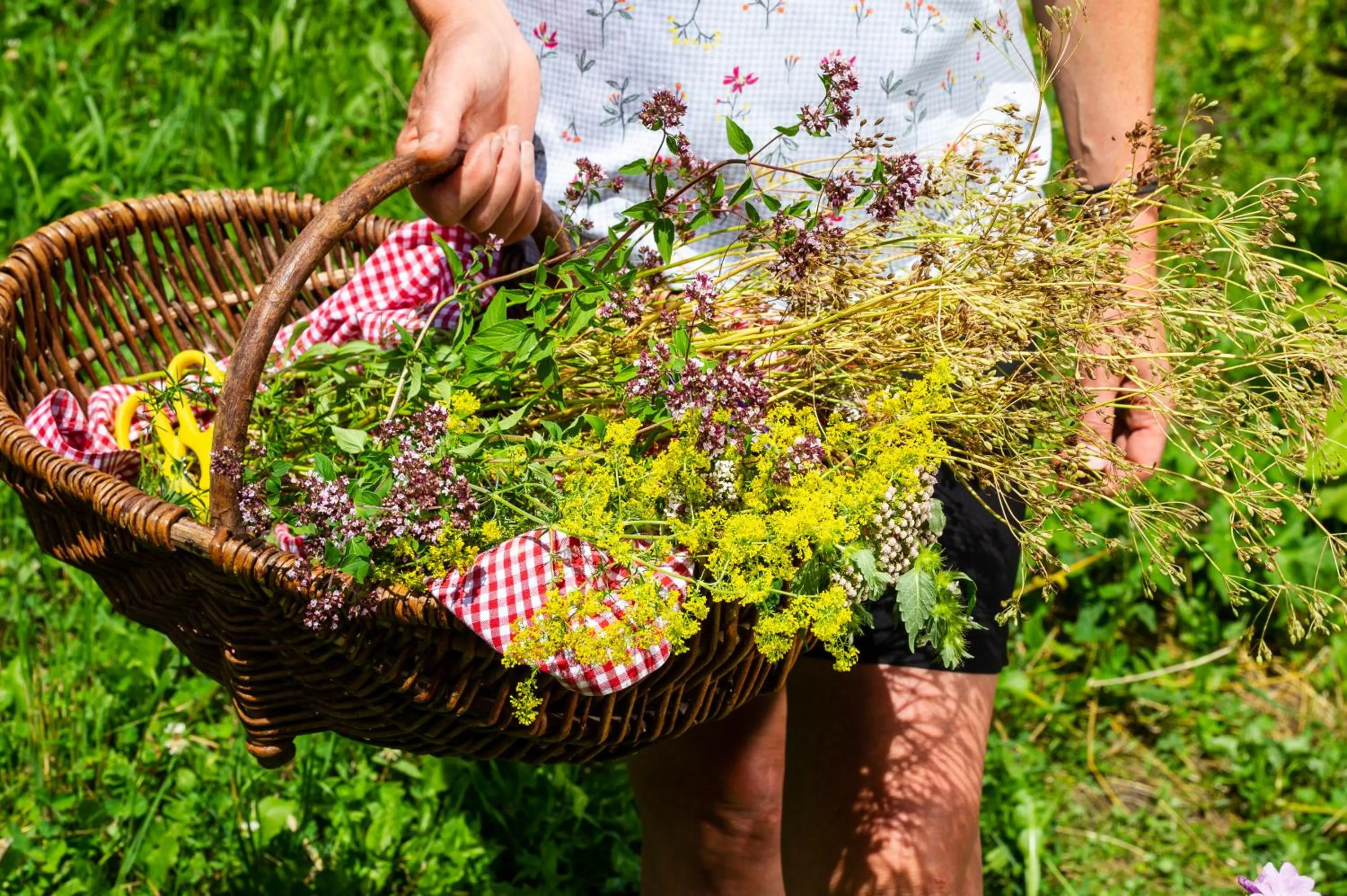 Day in Heimat - Das Natur Resort