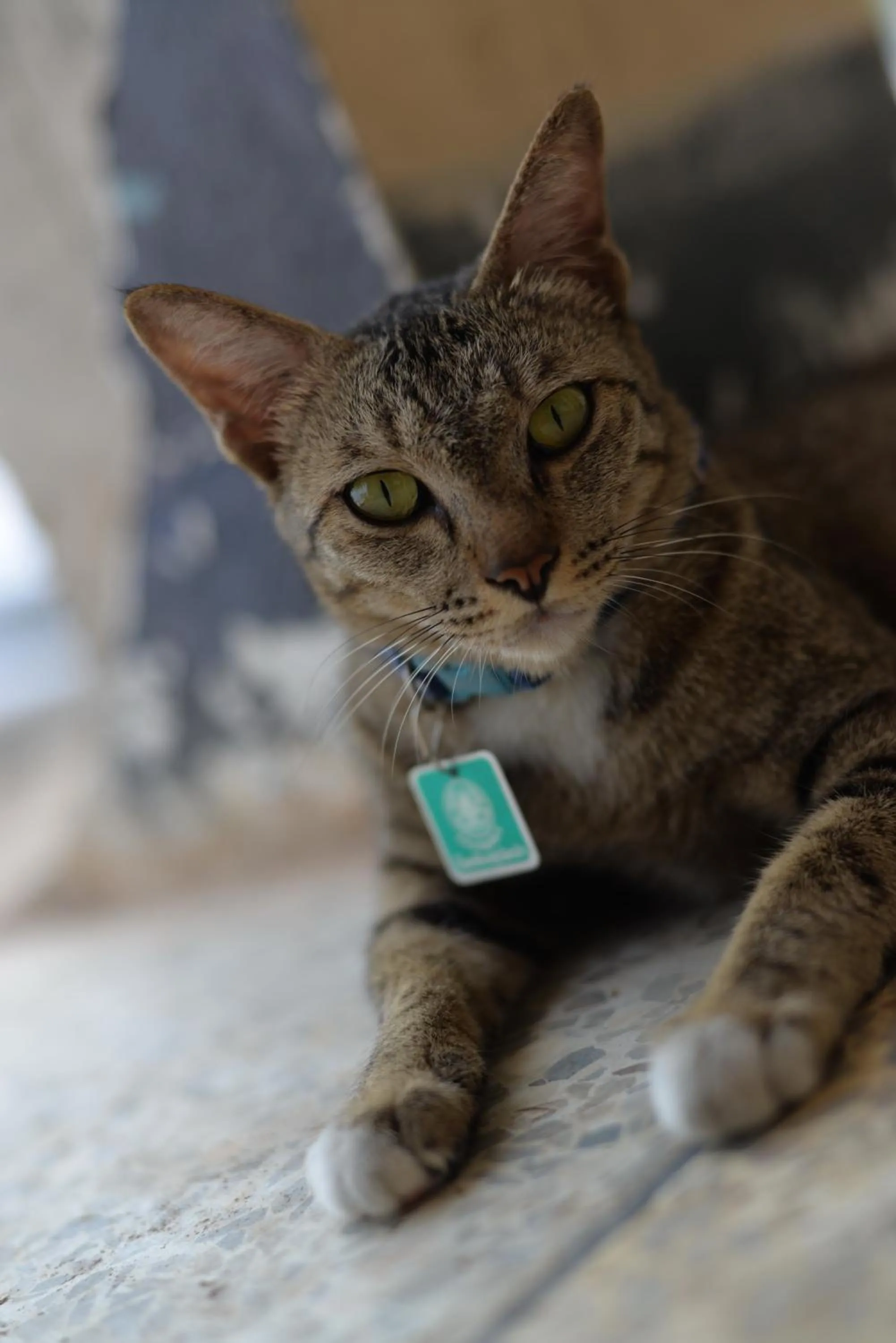 Property building in The Room Boutique Hotel