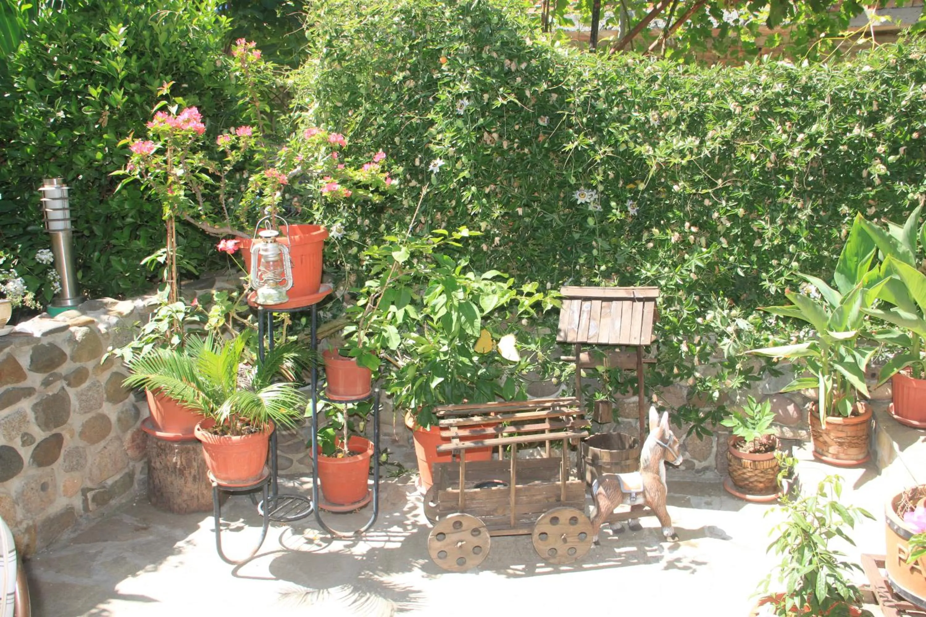 Garden view in Family Hotel Emilia