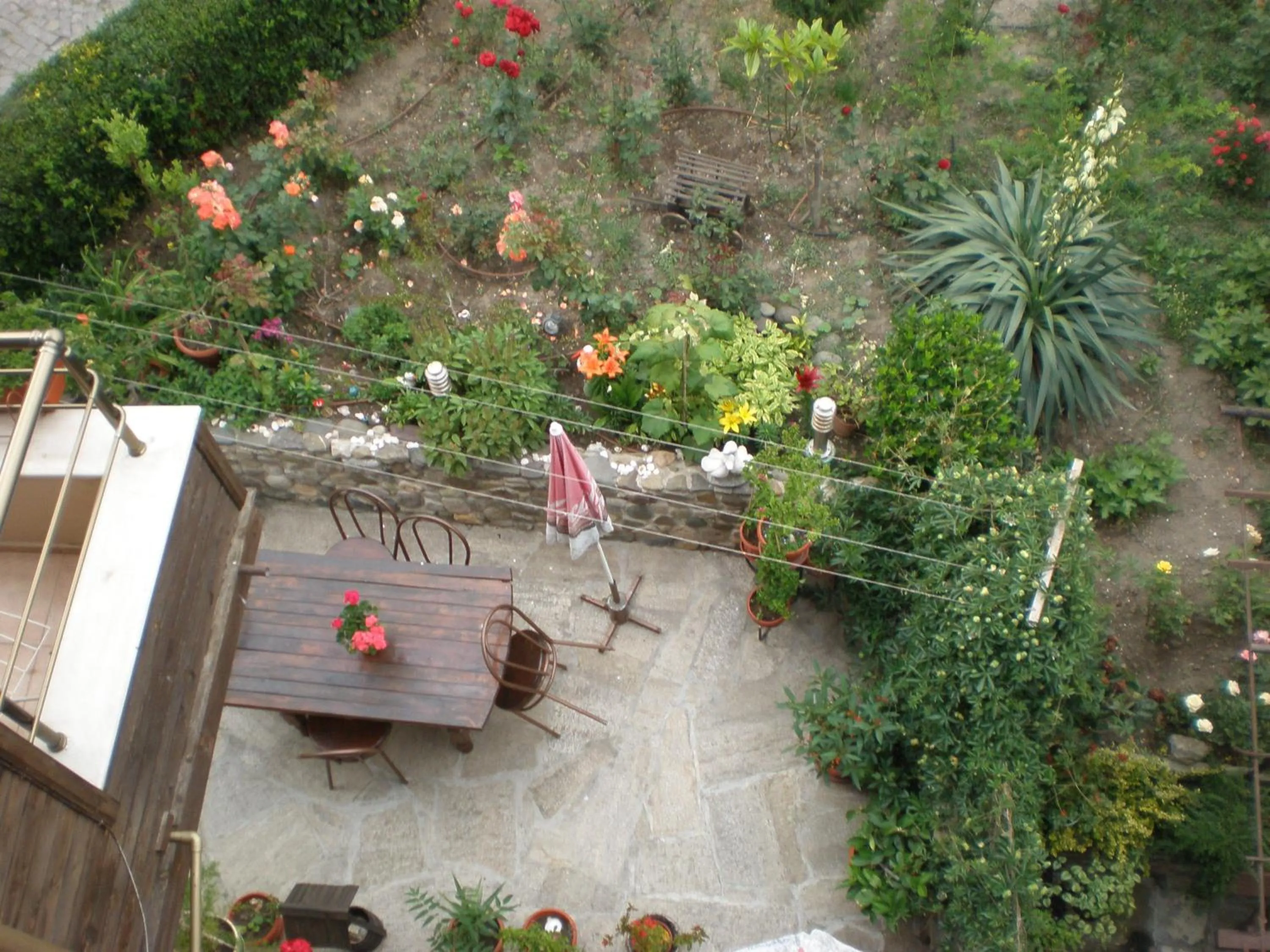 View (from property/room) in Family Hotel Emilia