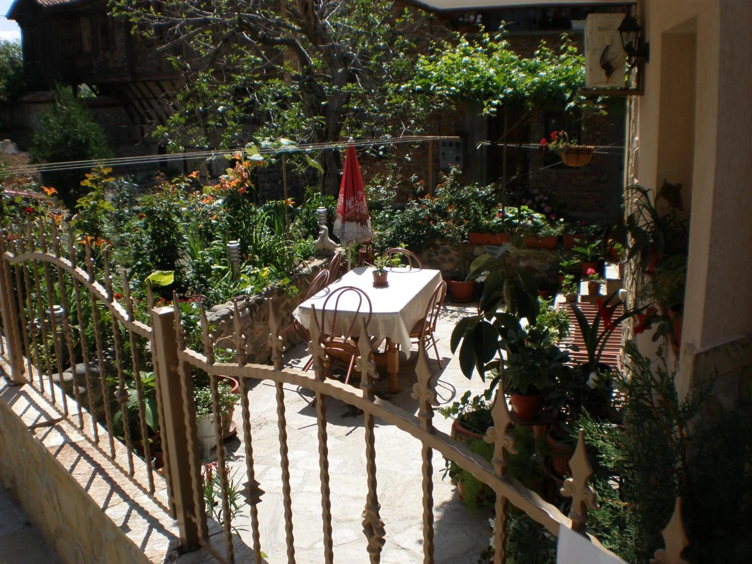 Garden in Family Hotel Emilia