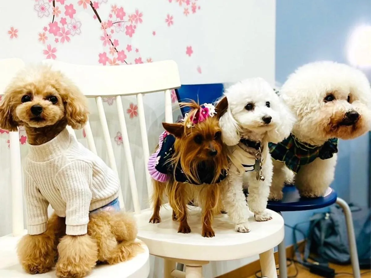 Hotel 3 O'Clock Tennoji