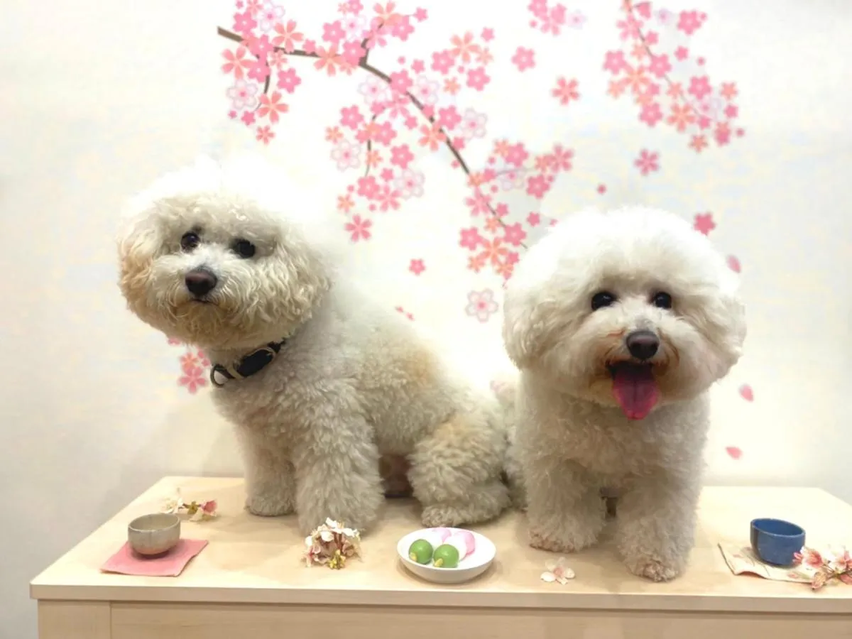 Hotel 3 O'Clock Tennoji