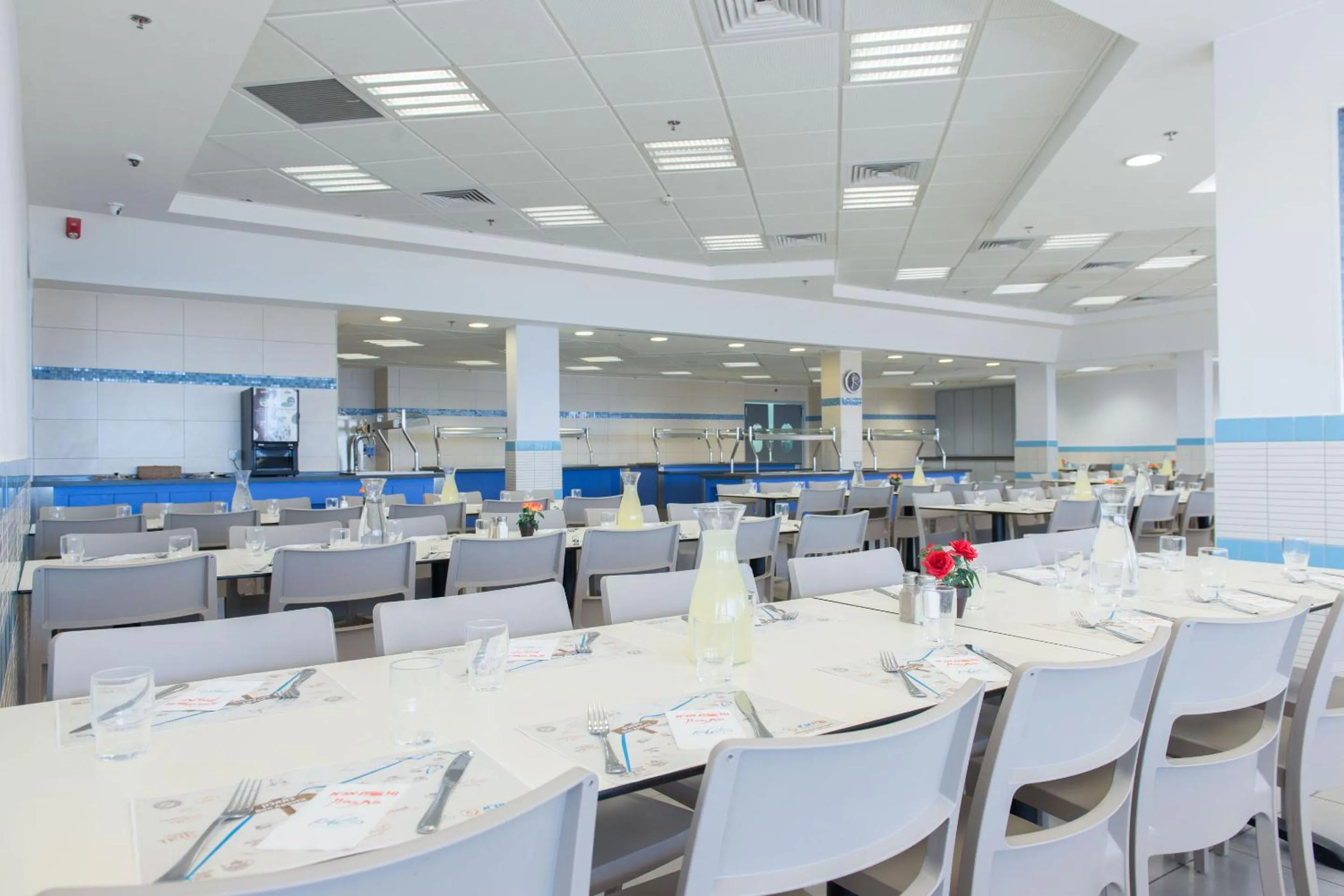 Restaurant/places to eat in HI - Ein Gedi Hostel