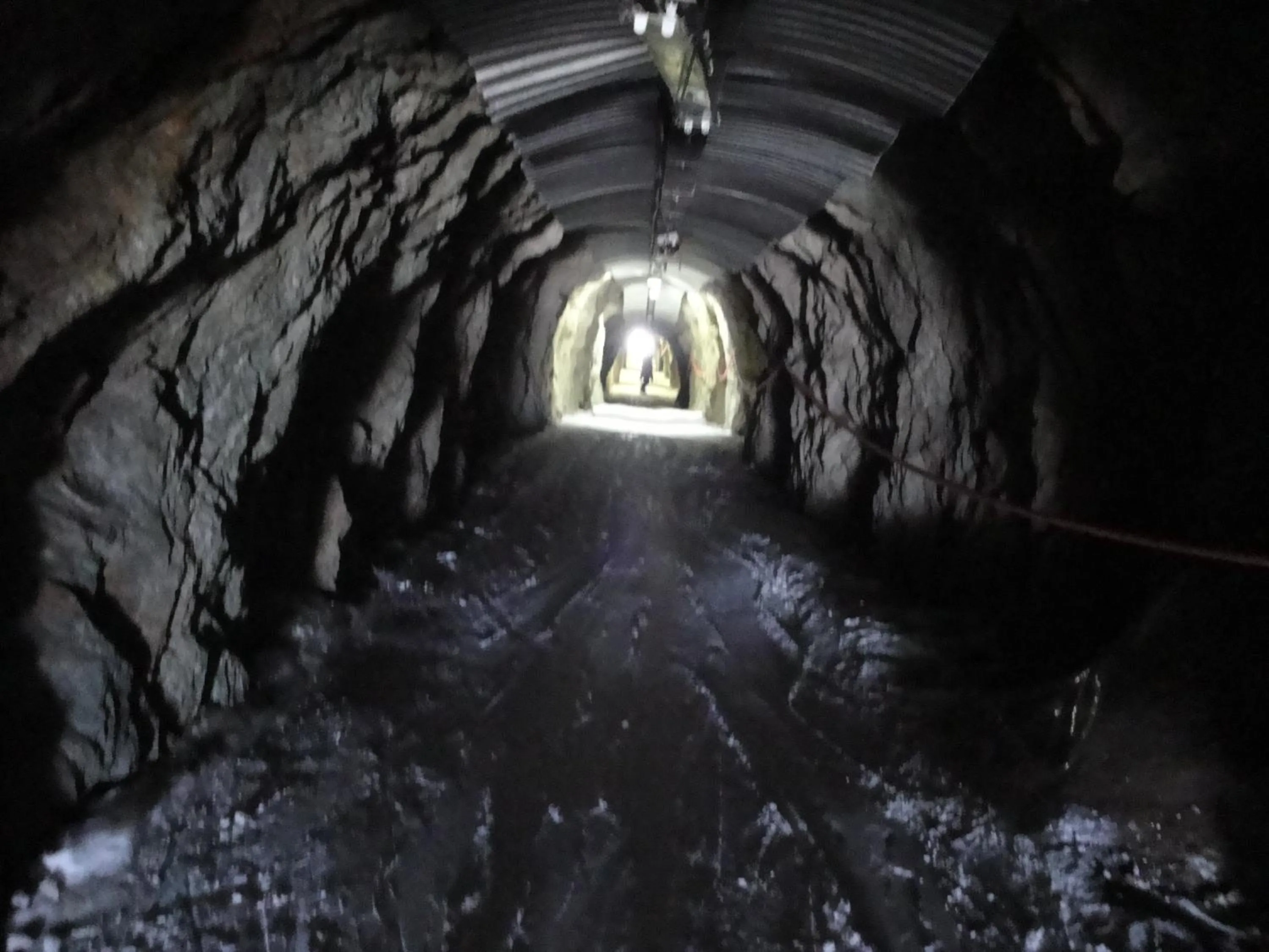 Skiing in Résidence les Valmonts Vaujany