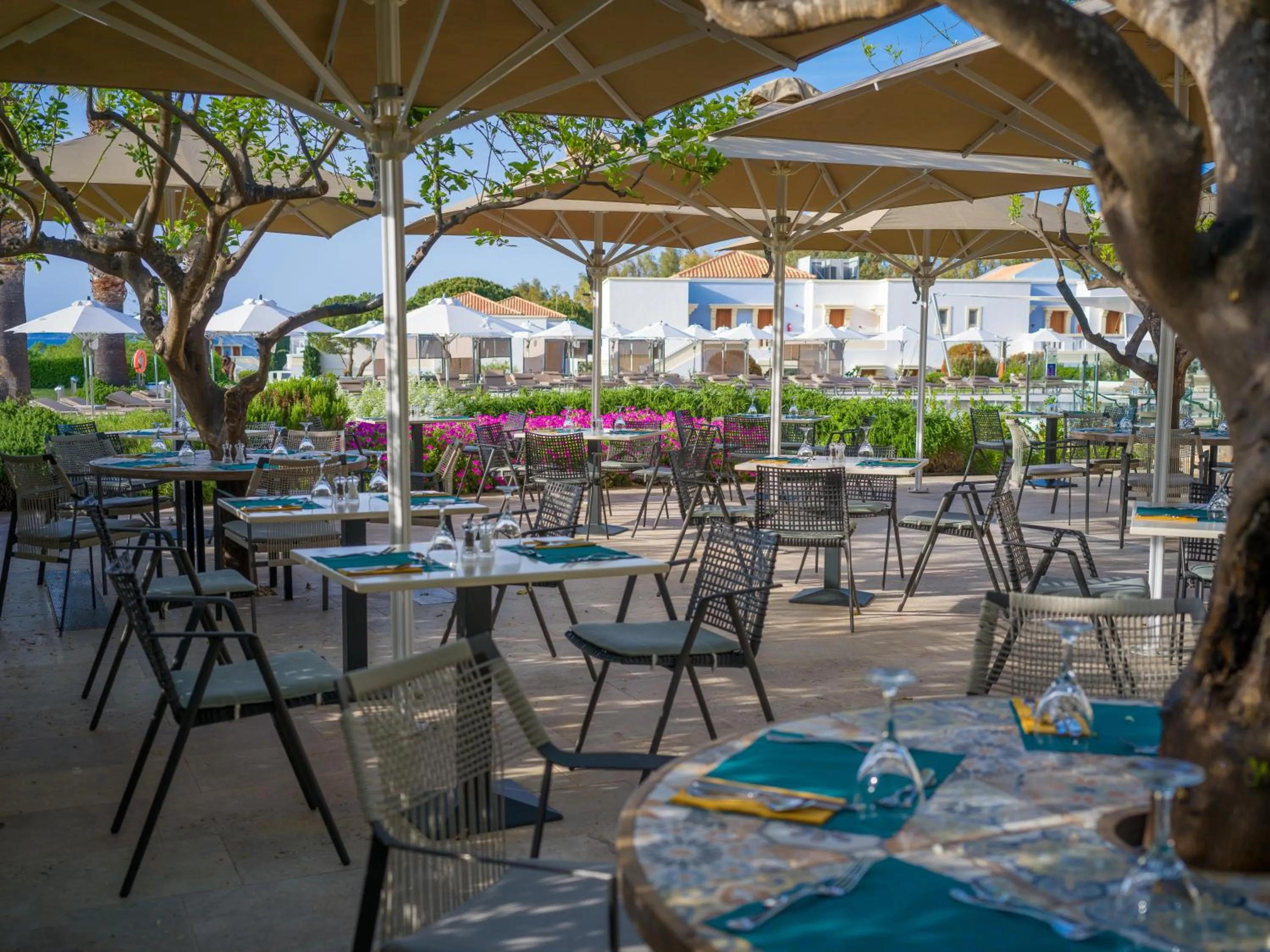 Restaurant/places to eat in Neptune Luxury Resort