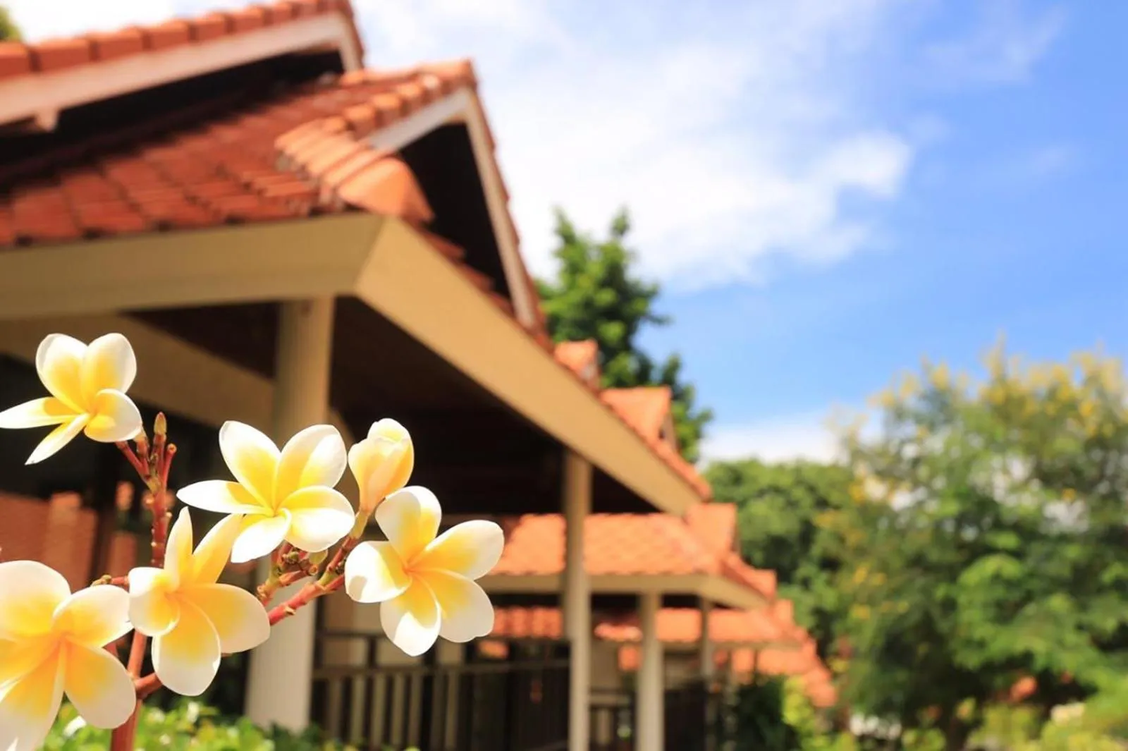 Garden in Aquavana Haad Rin Resort