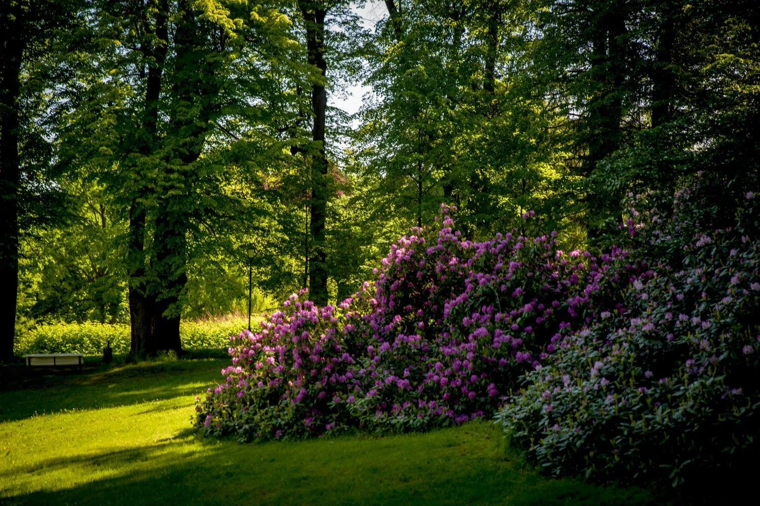 Summer in Hotel Książ