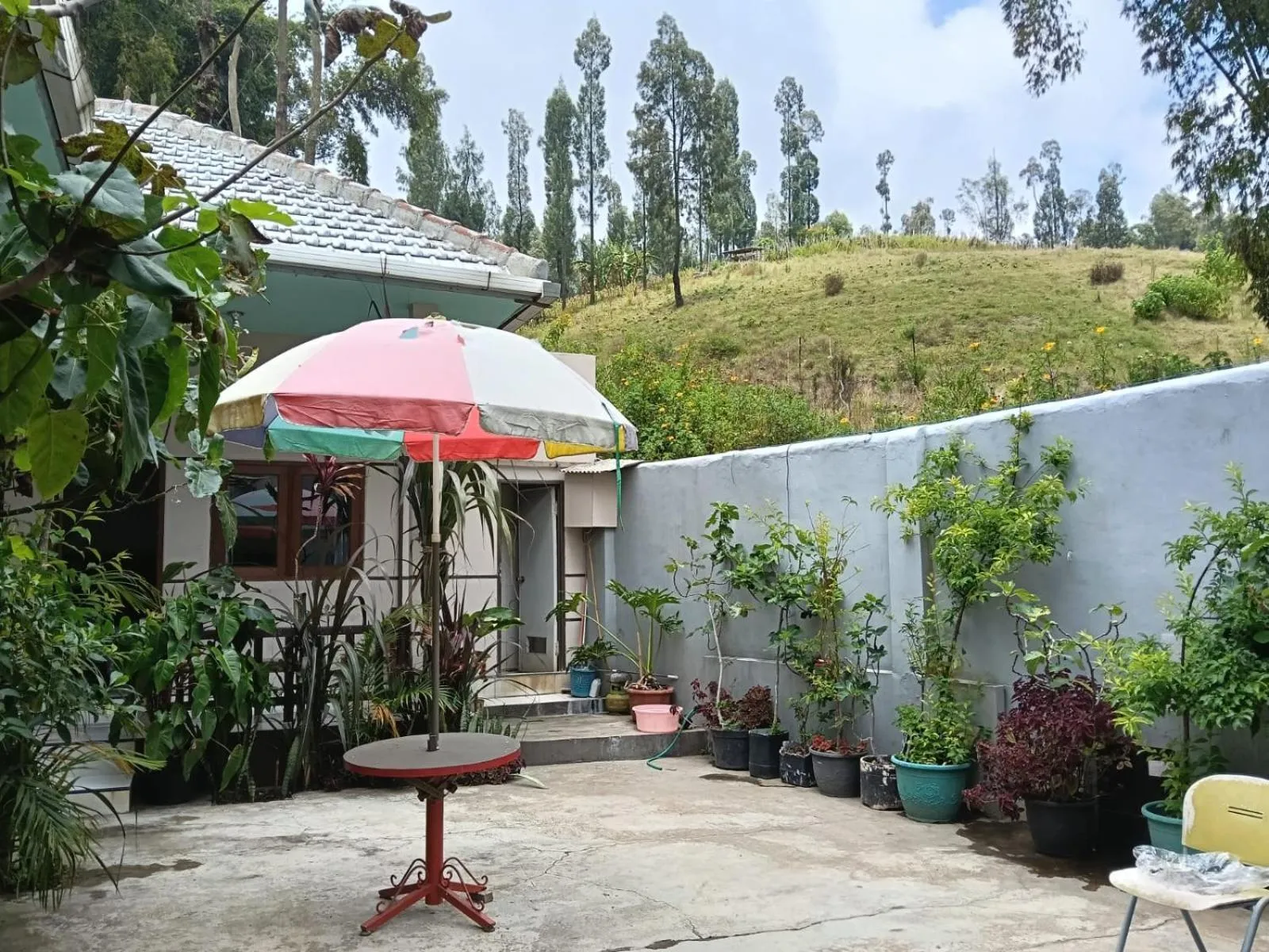 Balcony/Terrace in Savana Guesthouse