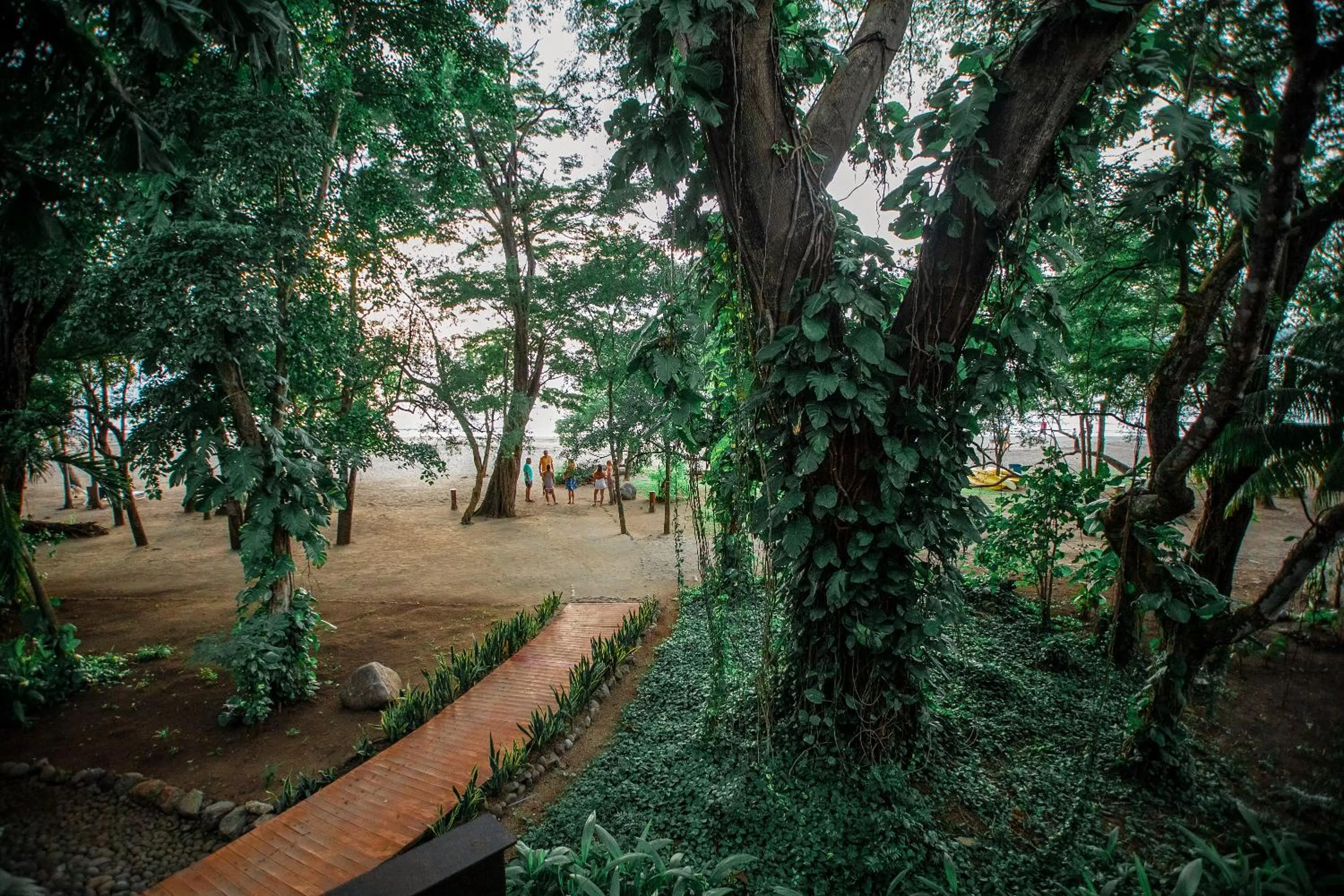 Beach in Hotel Bosque del Mar Playa Hermosa