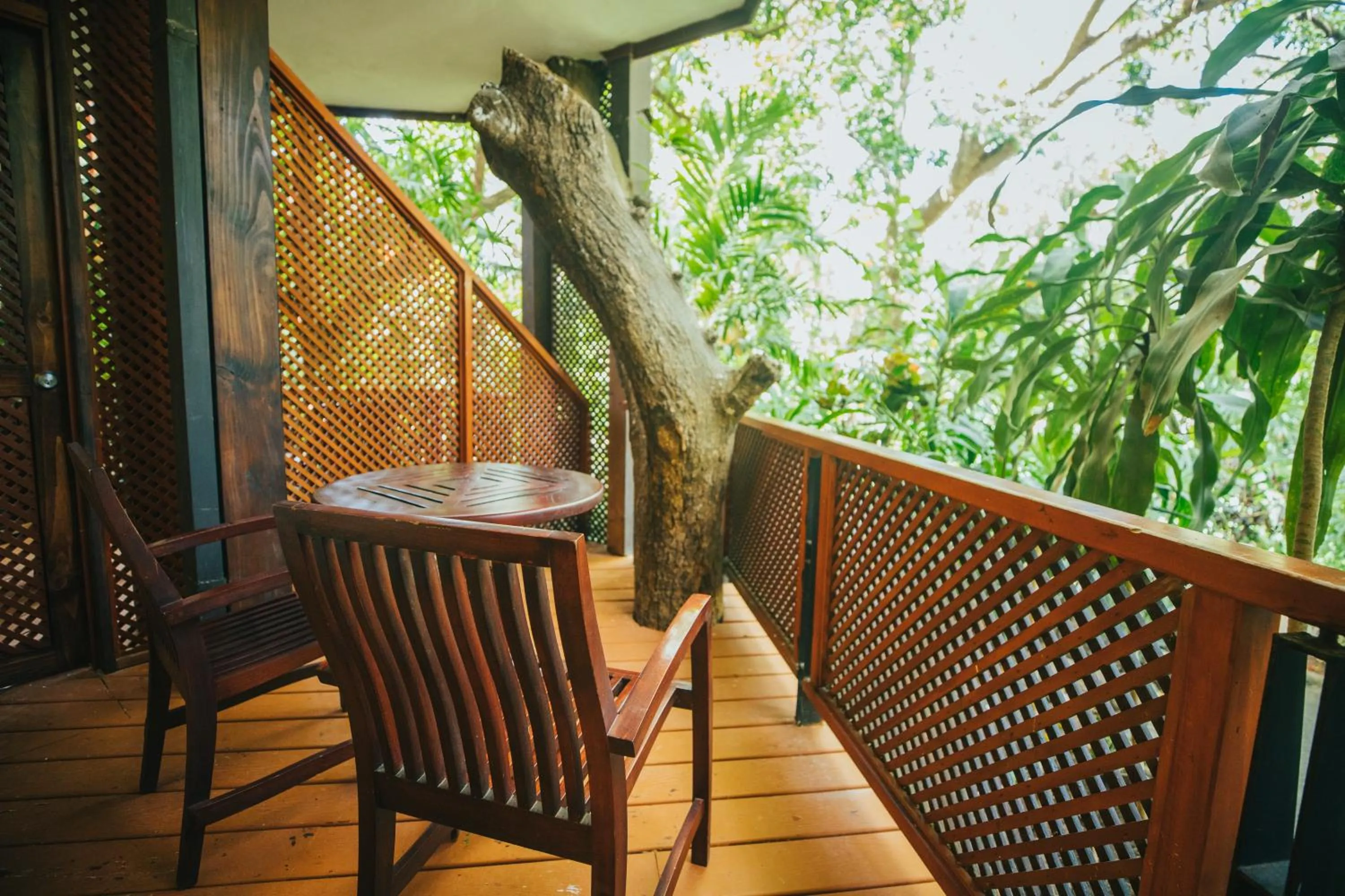 View (from property/room) in Hotel Bosque del Mar Playa Hermosa