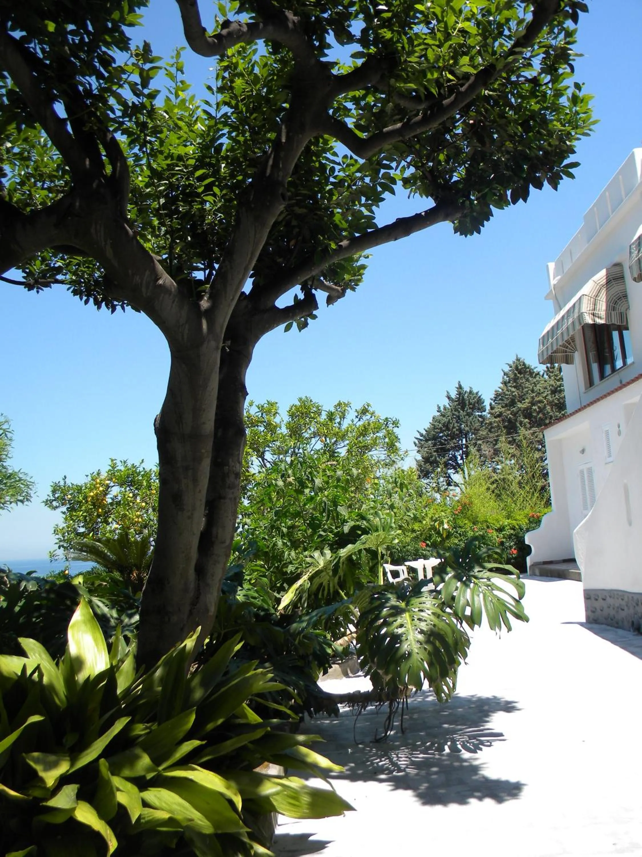 Decorative detail in Hotel Parco Conte