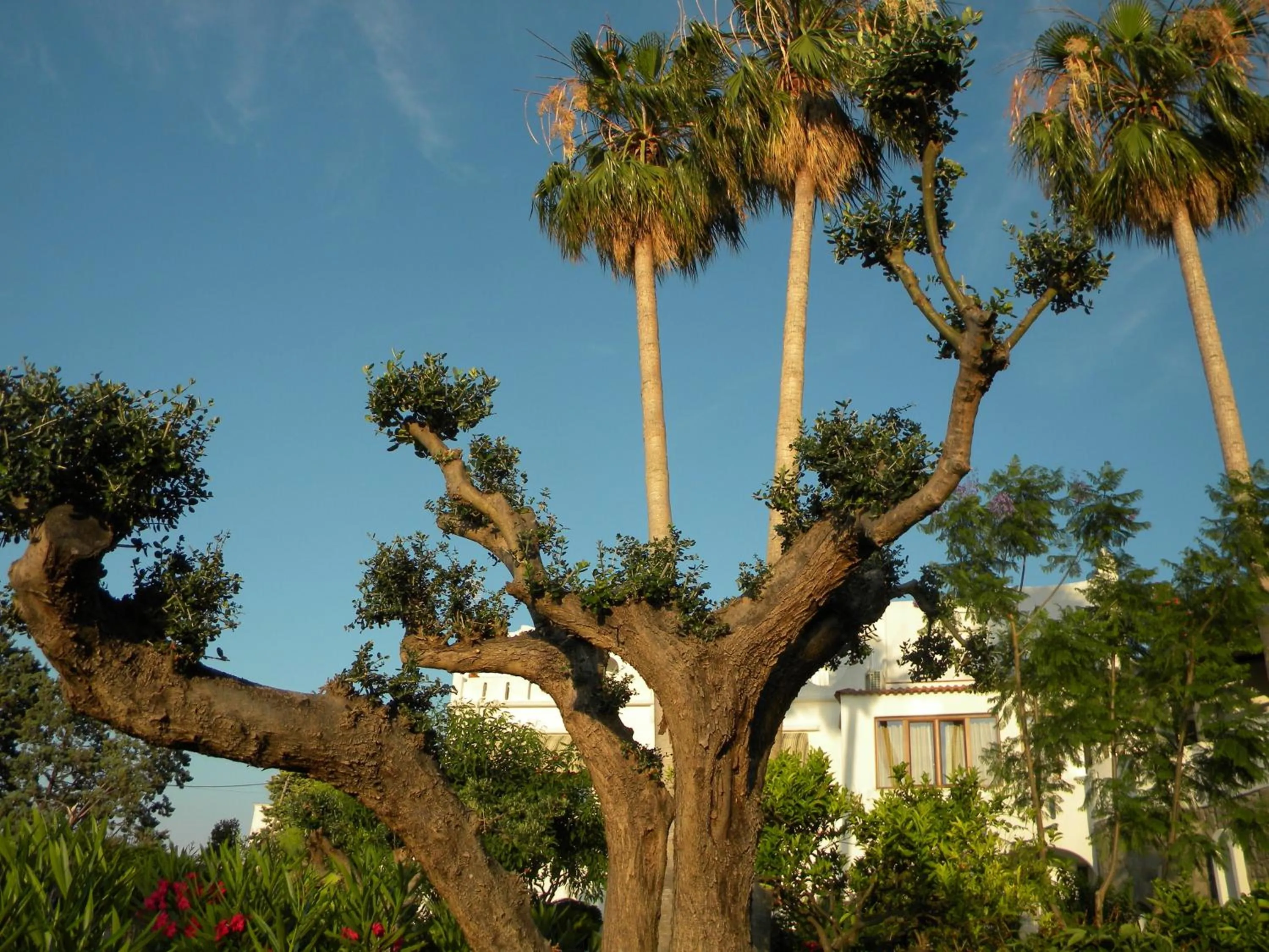 Decorative detail in Hotel Parco Conte