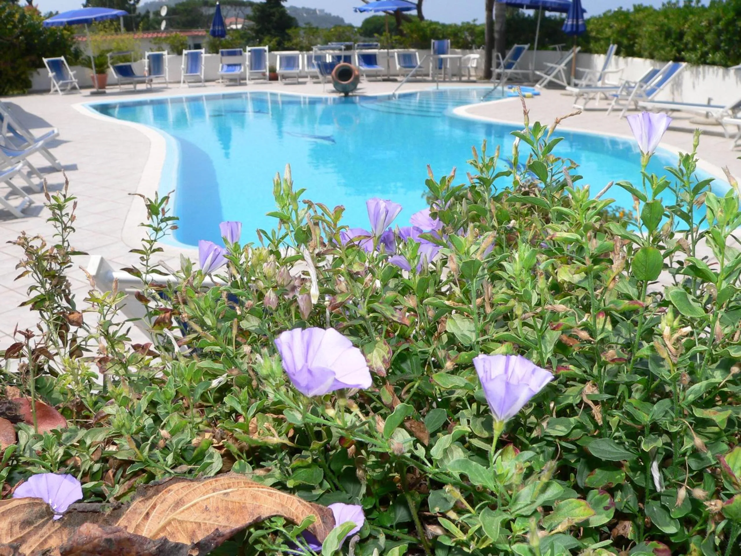 Swimming pool in Hotel Parco Conte