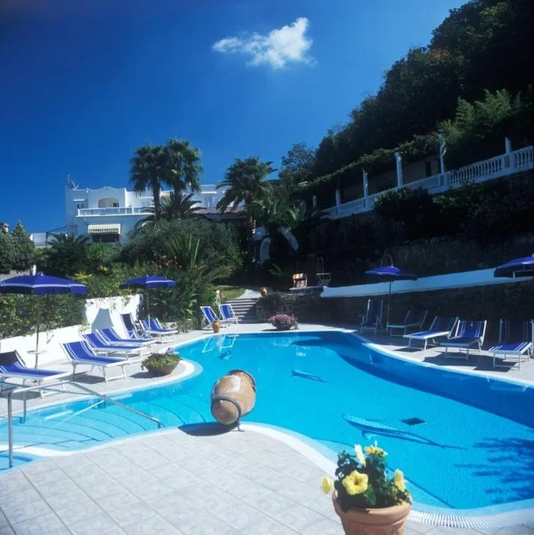 Swimming pool in Hotel Parco Conte