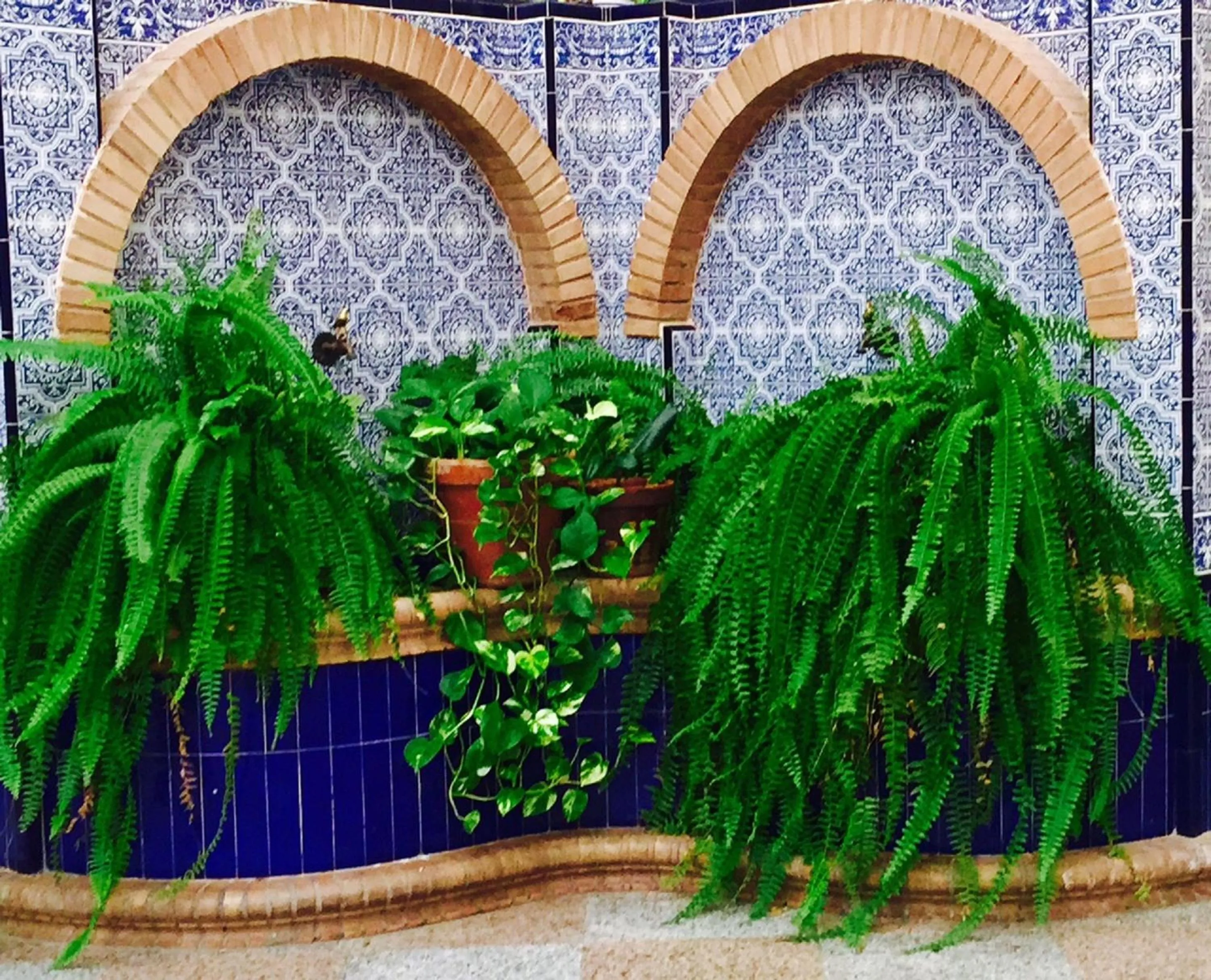 Patio in Hotel Sandra