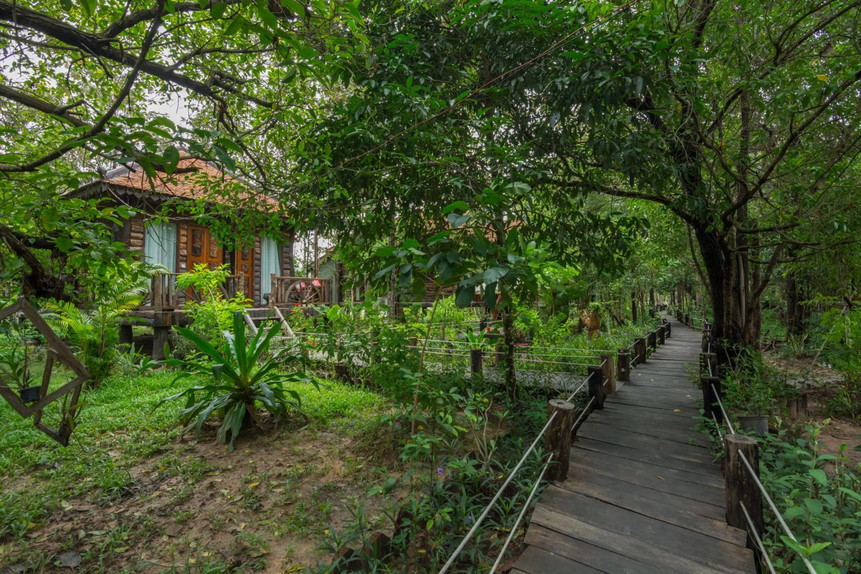 Garden view in Bong Thom Forest Lodge