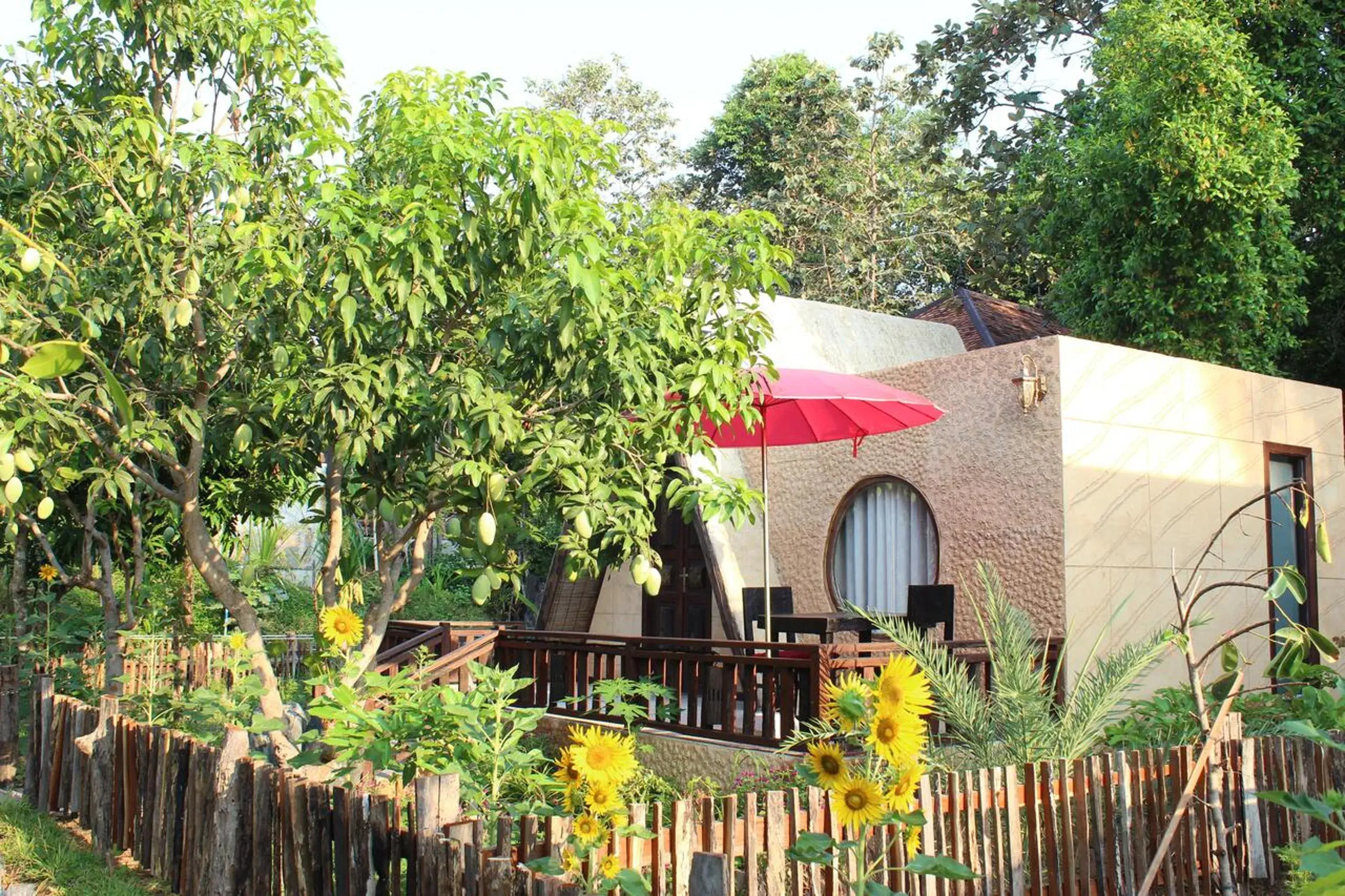 Deluxe Room - single occupancy in Bong Thom Forest Lodge Deluxe Room - single occupancy in Bong Thom Forest Lodge