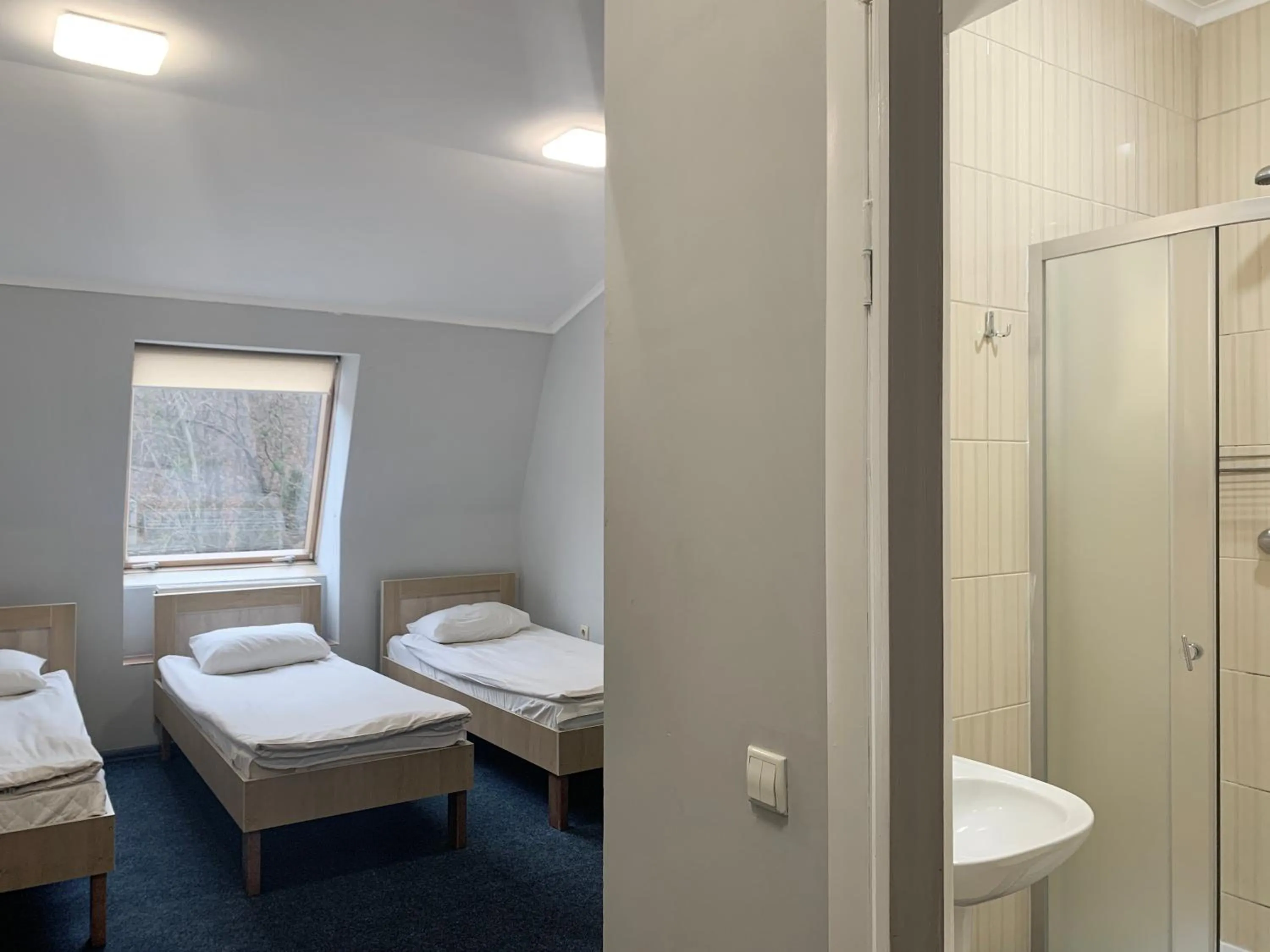 Bed in Budget Hotel Ekotel