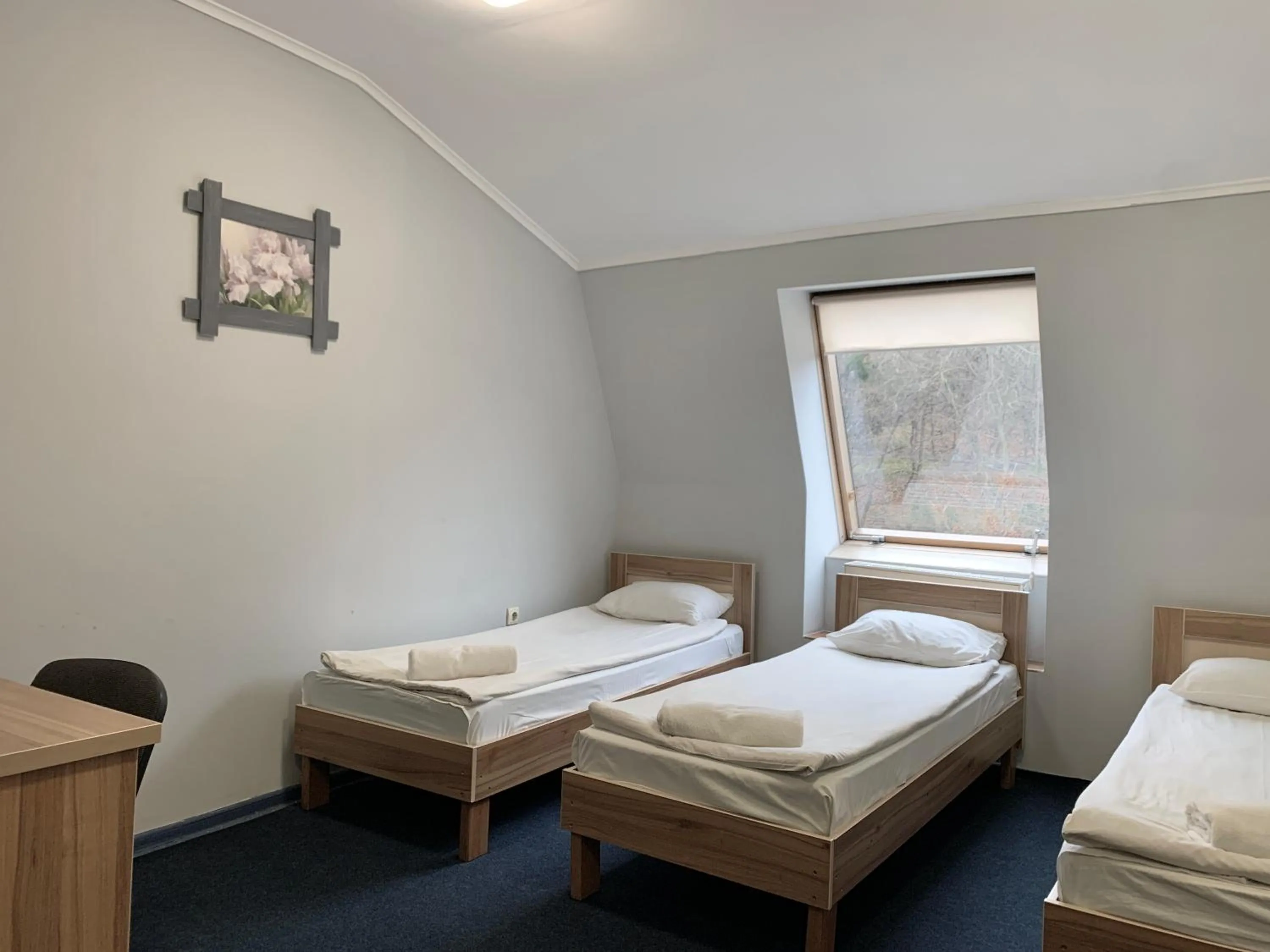 Bed in Budget Hotel Ekotel