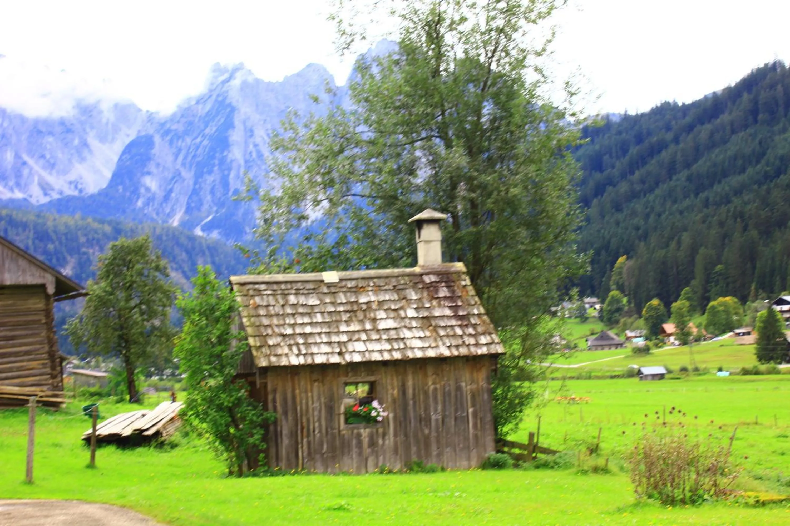 Area and facilities in Hotel - Restaurant Gosauerhof