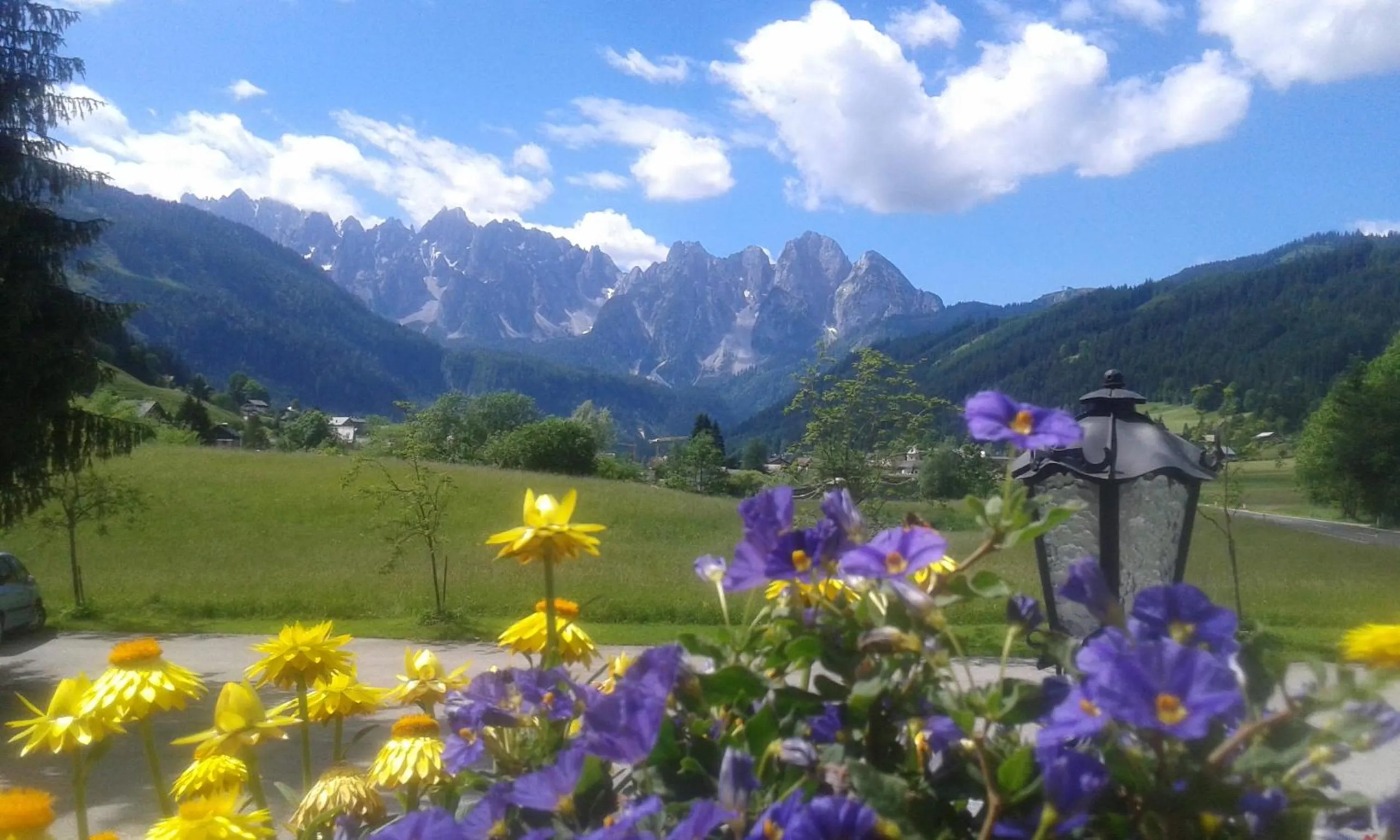 Mountain view in Hotel - Restaurant Gosauerhof