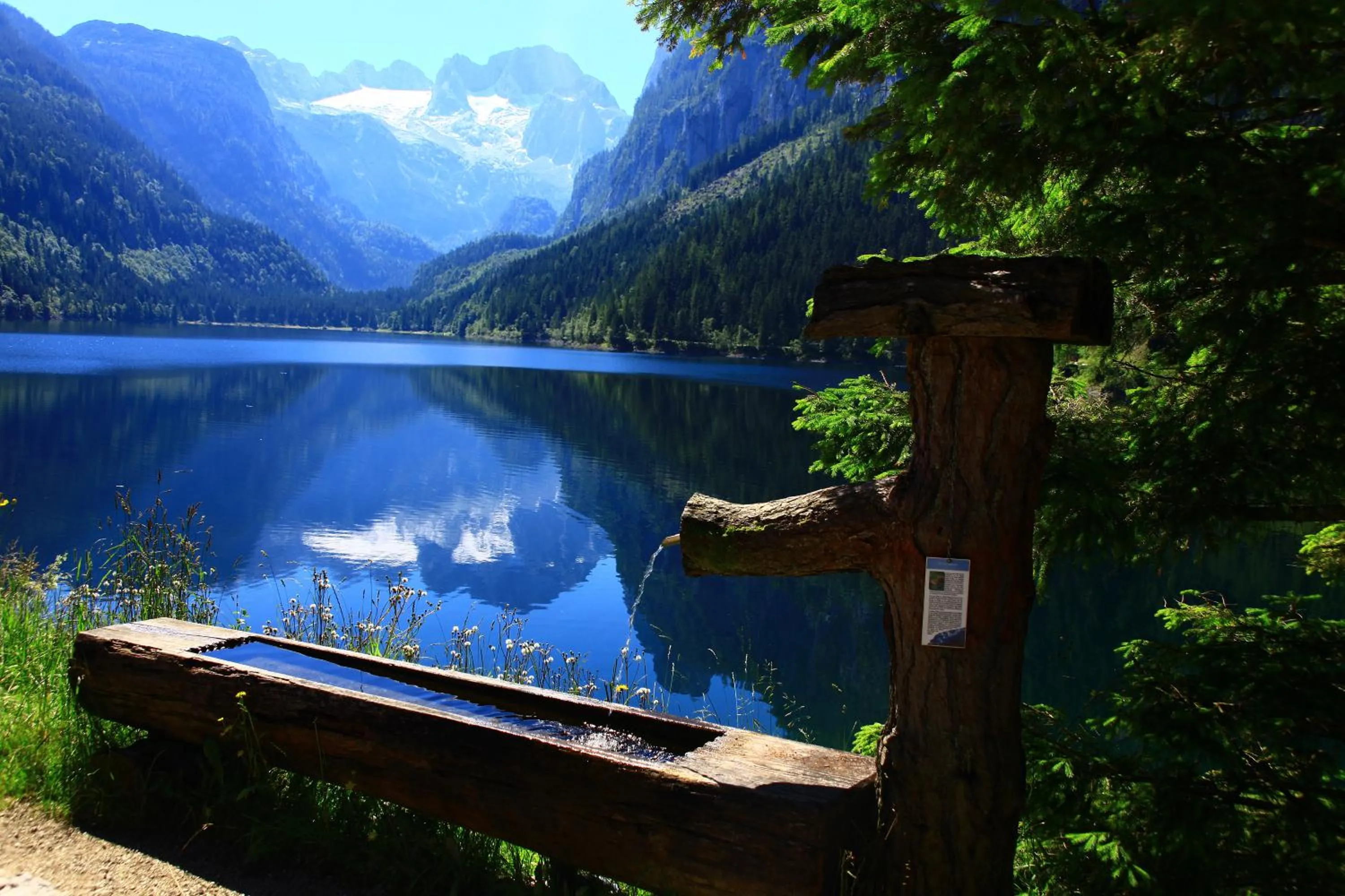 Area and facilities in Hotel - Restaurant Gosauerhof