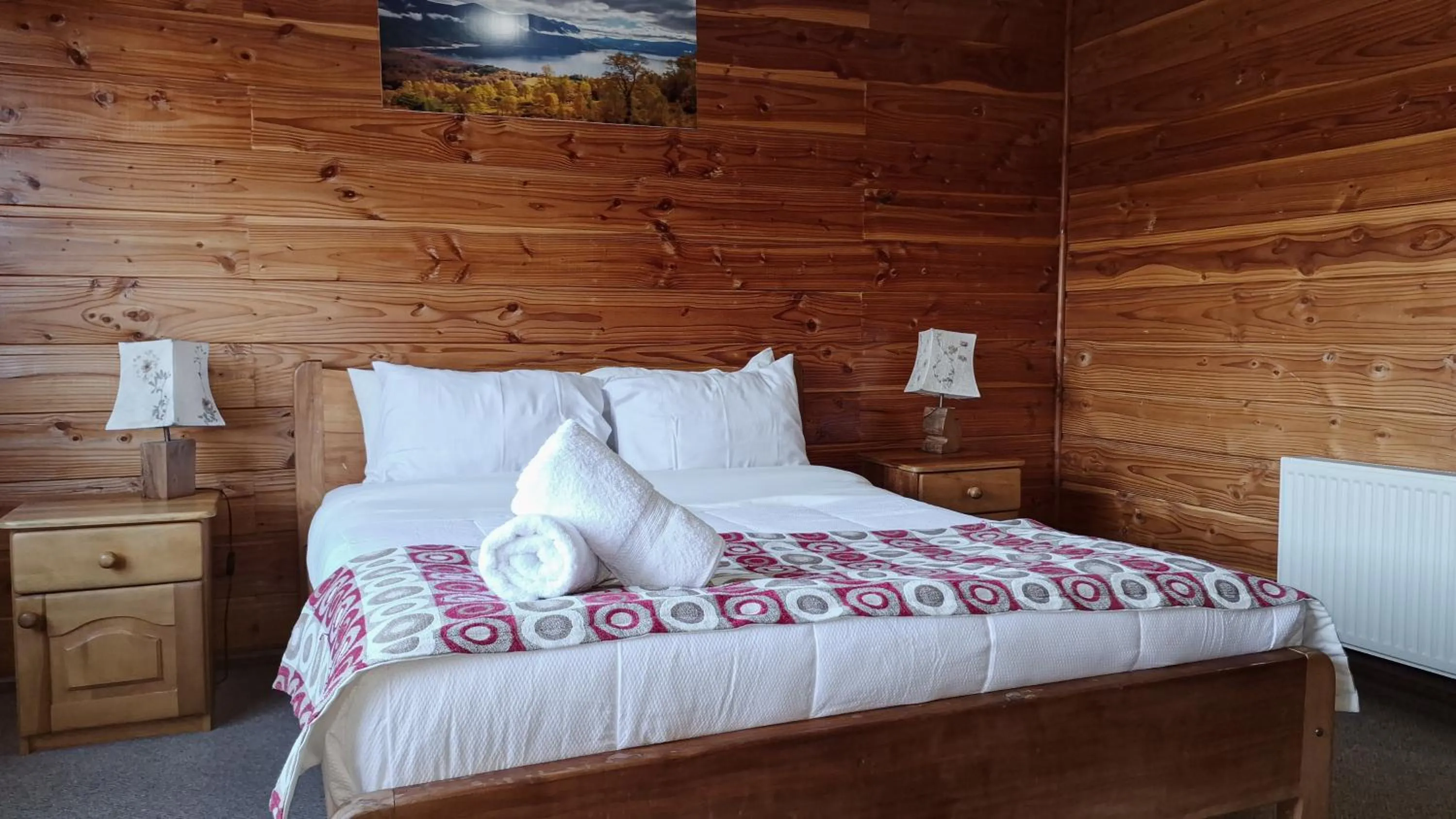 Double Room in Alpes Hotel
