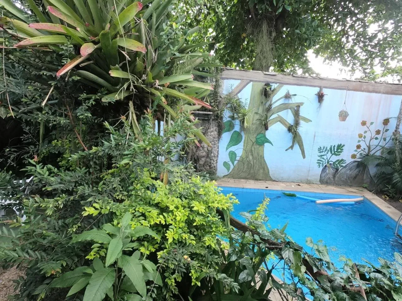 Pool view in Pousada Arte Colonial - Casarão Histórico do Séc XVIII - Lancha Própria