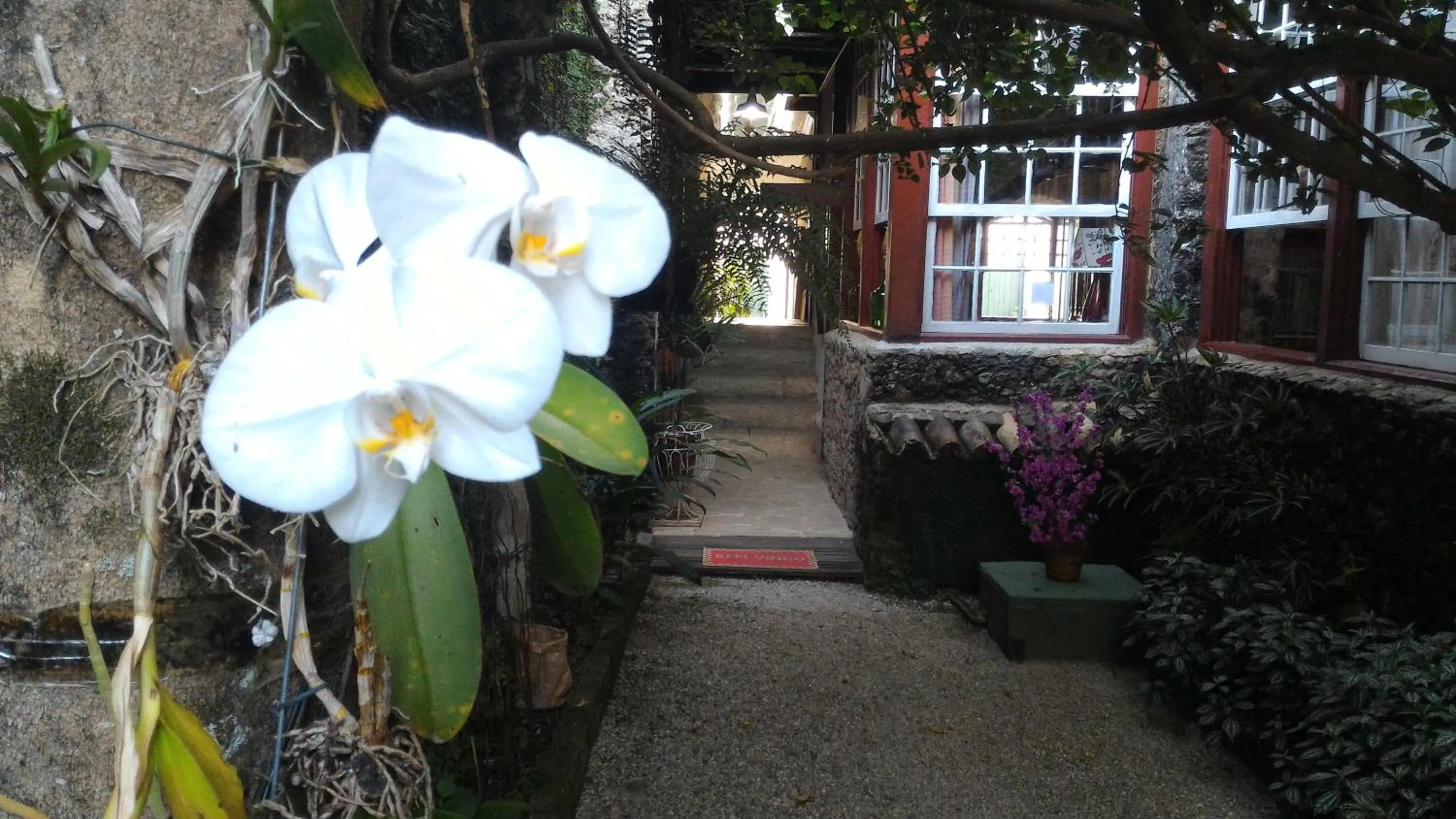 Garden in Pousada Arte Colonial - Casarão Histórico do Séc XVIII - Lancha Própria