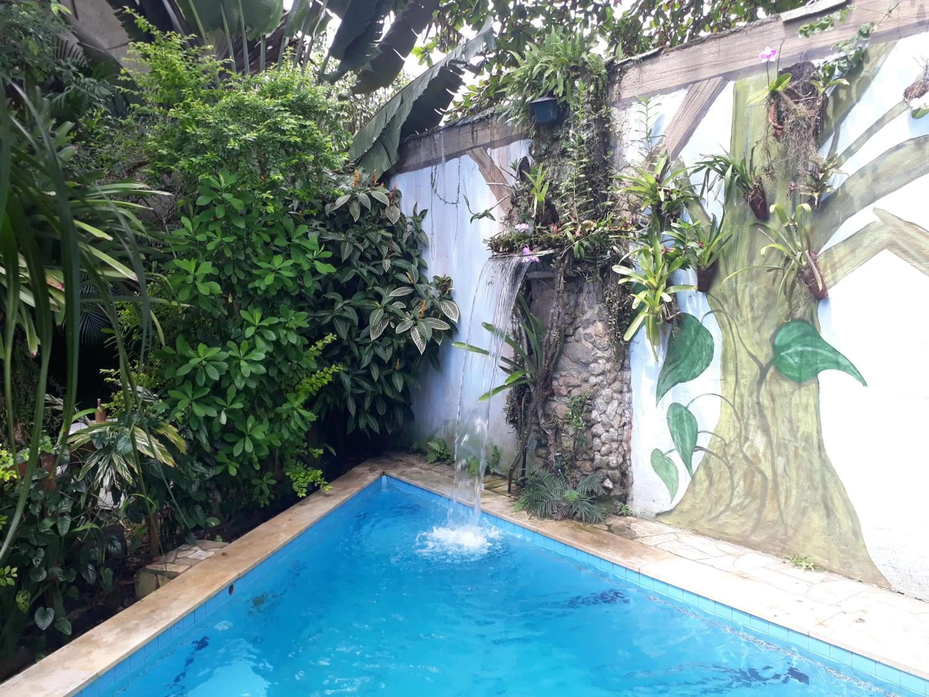 Swimming pool in Pousada Arte Colonial - Casarão Histórico do Séc XVIII - Lancha Própria