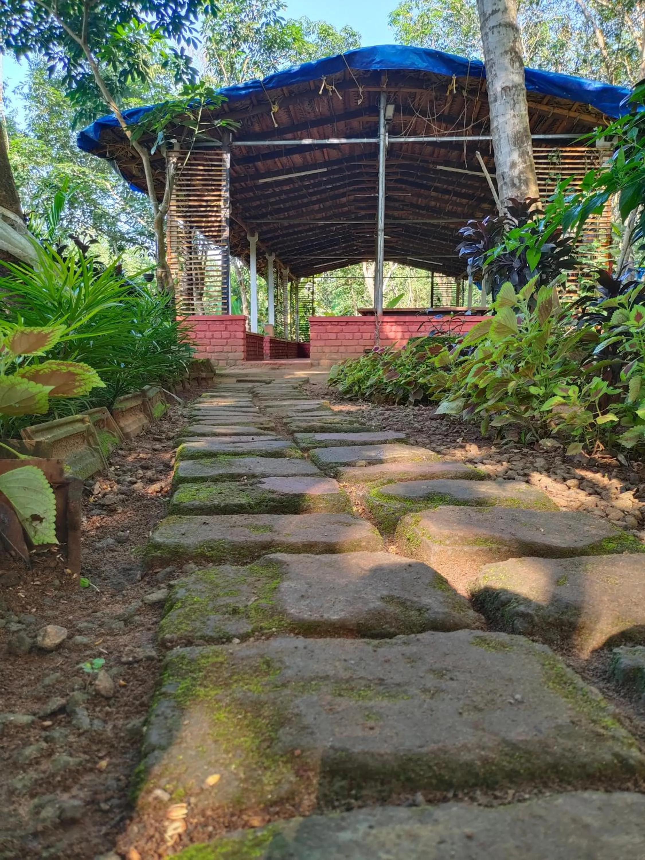 Anamala Serenity Homestay Kerala