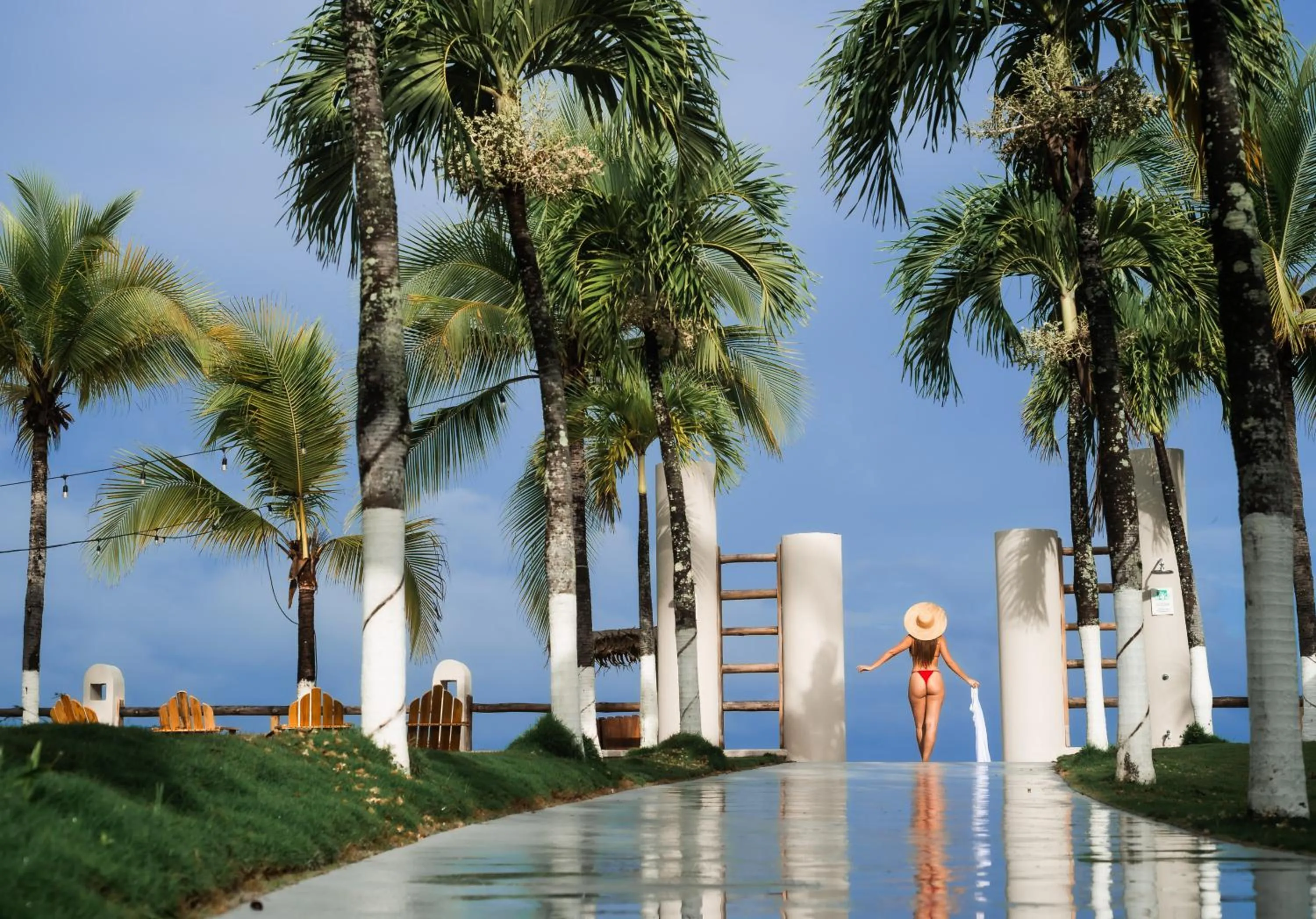 Garden view in Bahia del Sol Beach front Boutique Hotel