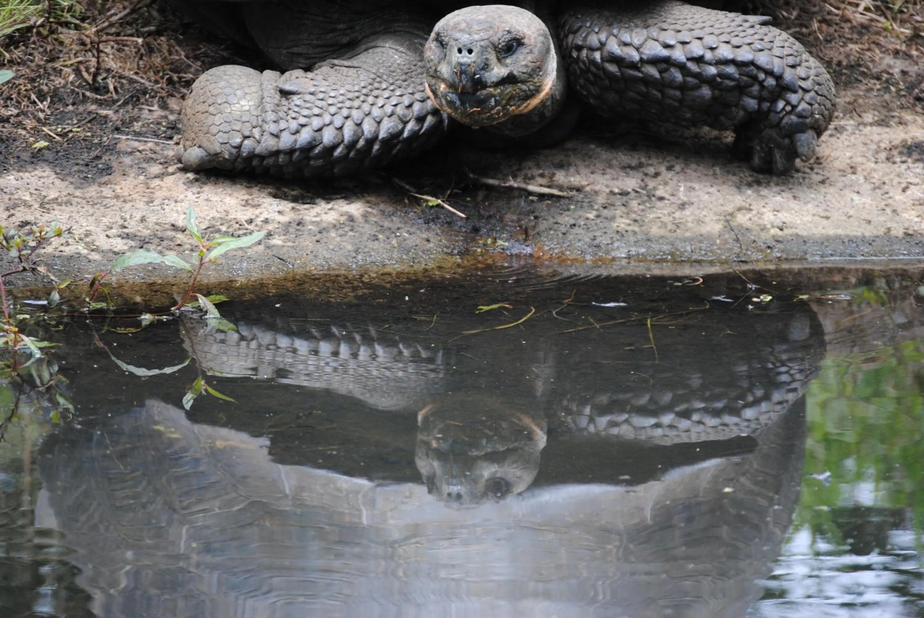 Facade/entrance in Semilla Verde Boutique Hotel