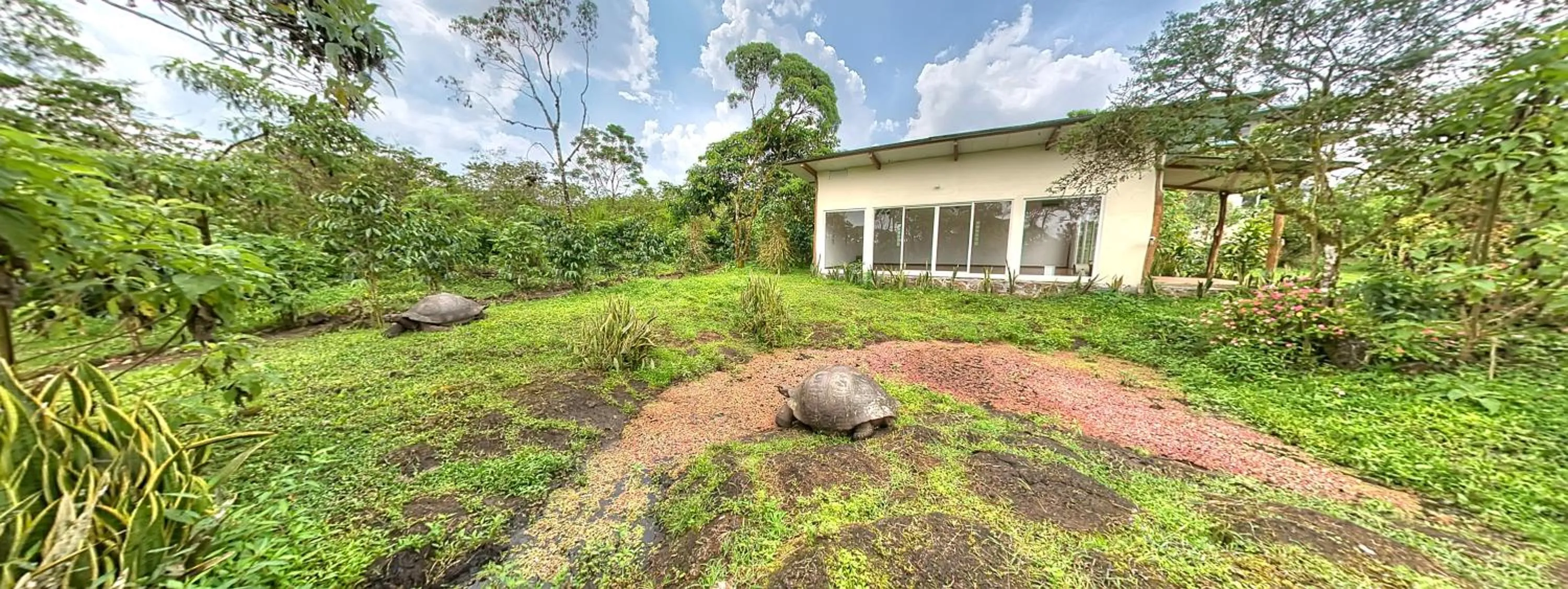 Semilla Verde Boutique Hotel