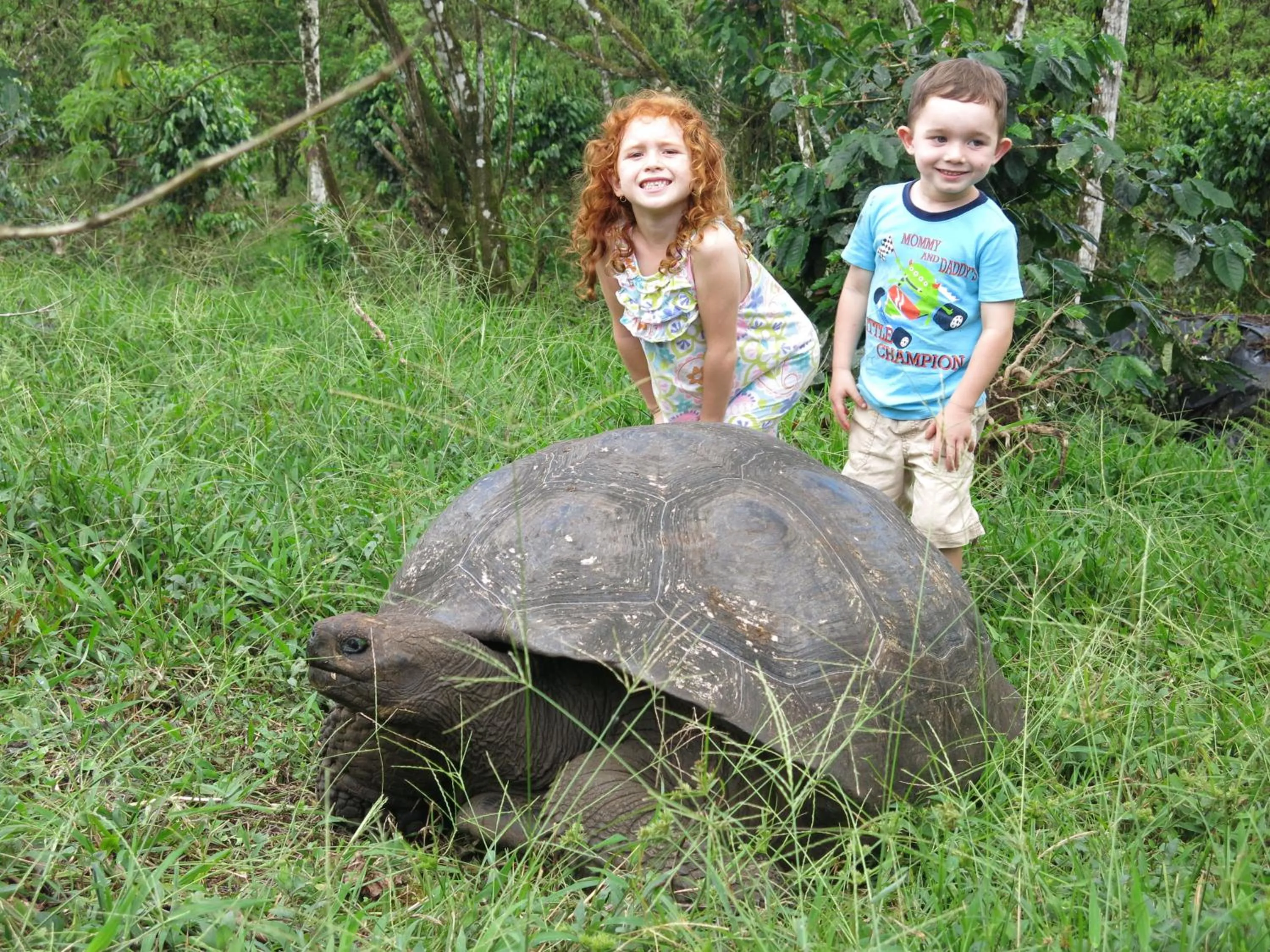Facade/entrance in Semilla Verde Boutique Hotel