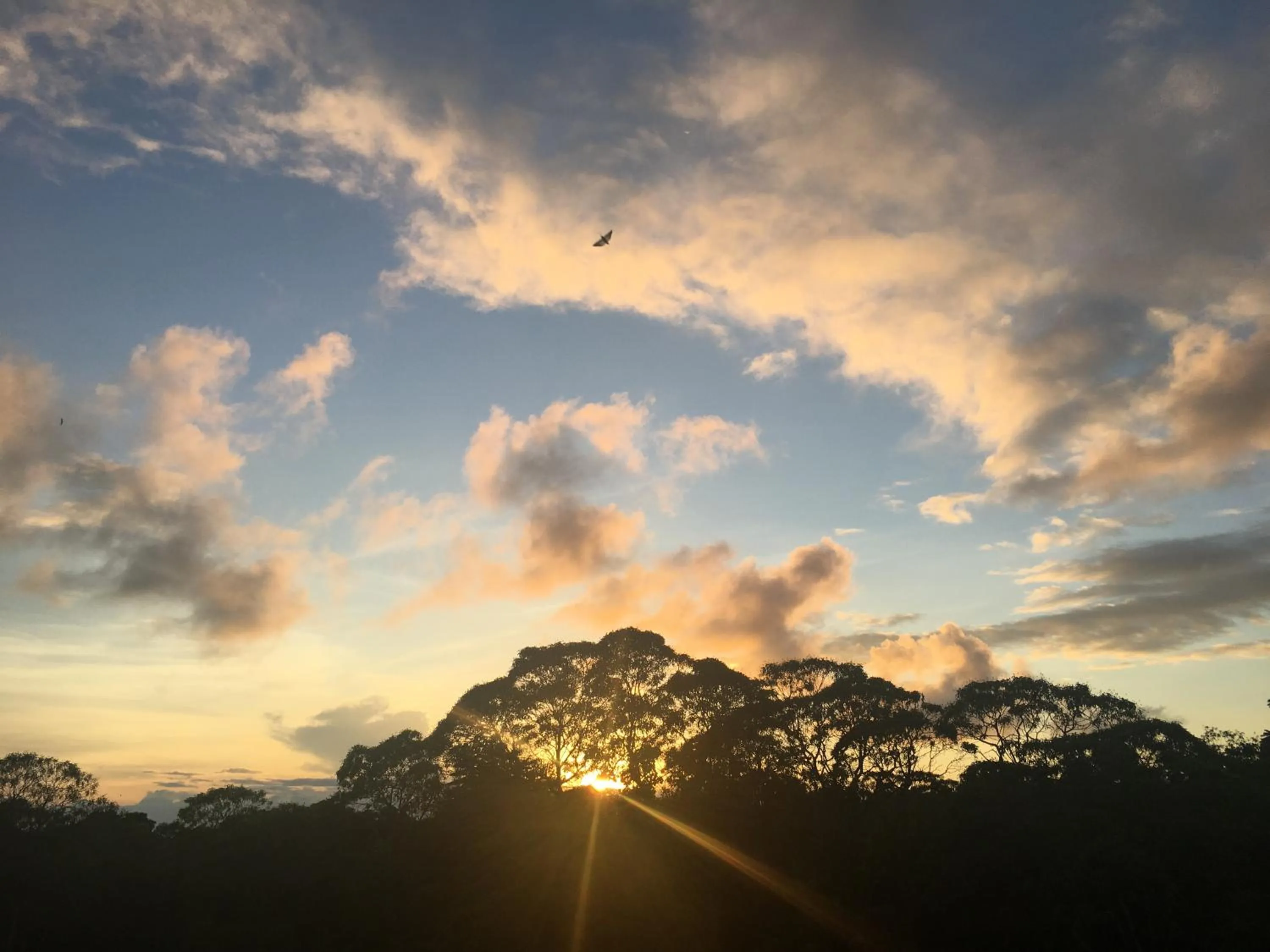 Sunset in Semilla Verde Boutique Hotel