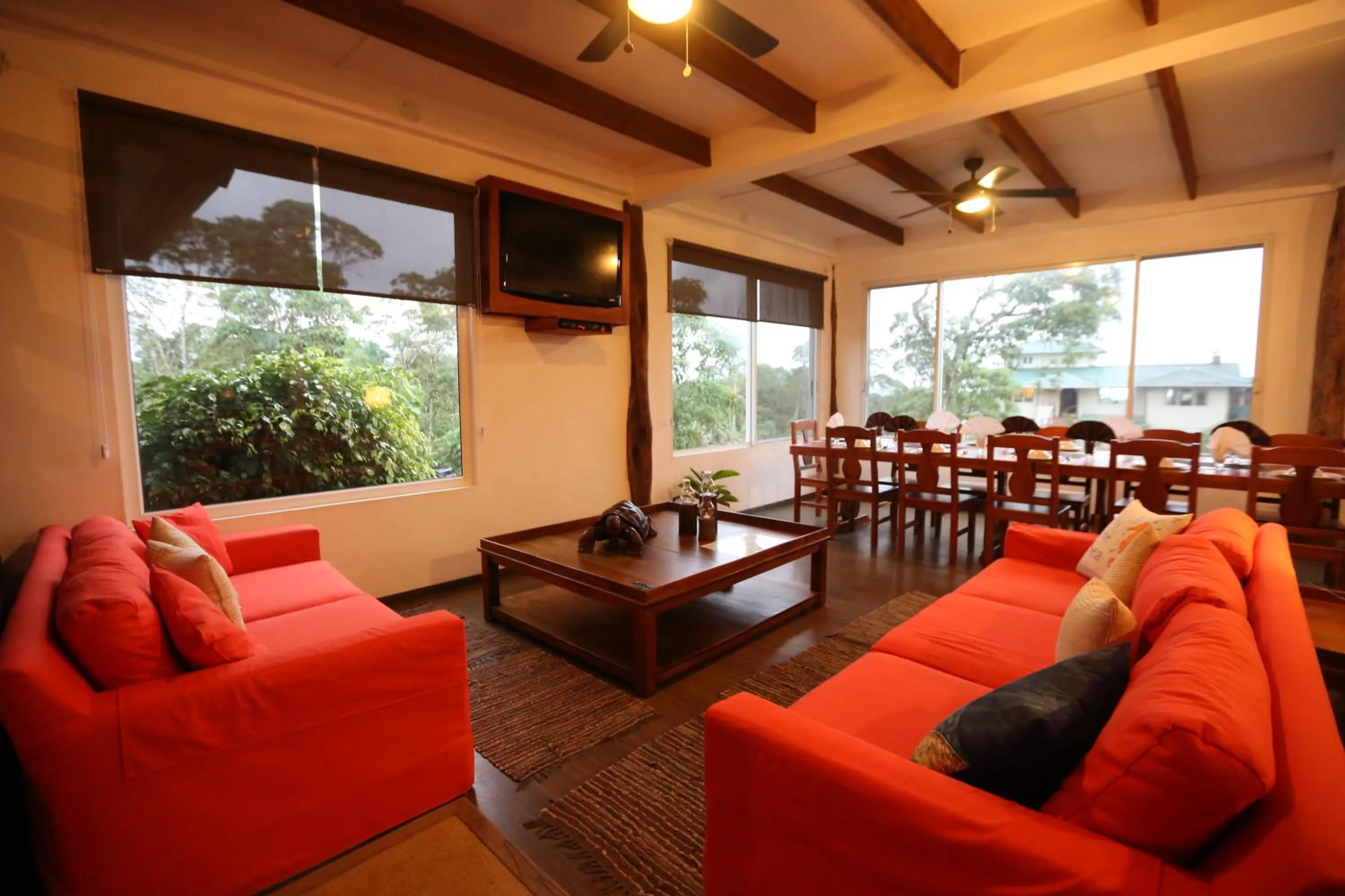 Communal lounge/ TV room in Semilla Verde Boutique Hotel