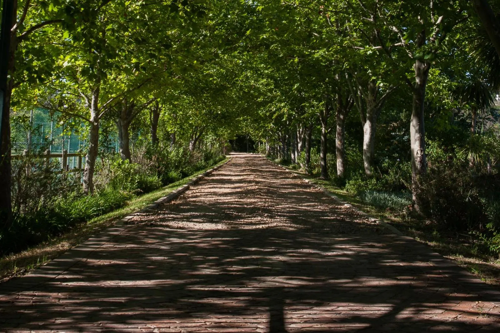 Facade/entrance in Sanddrif Stellenbosch Guest Farm