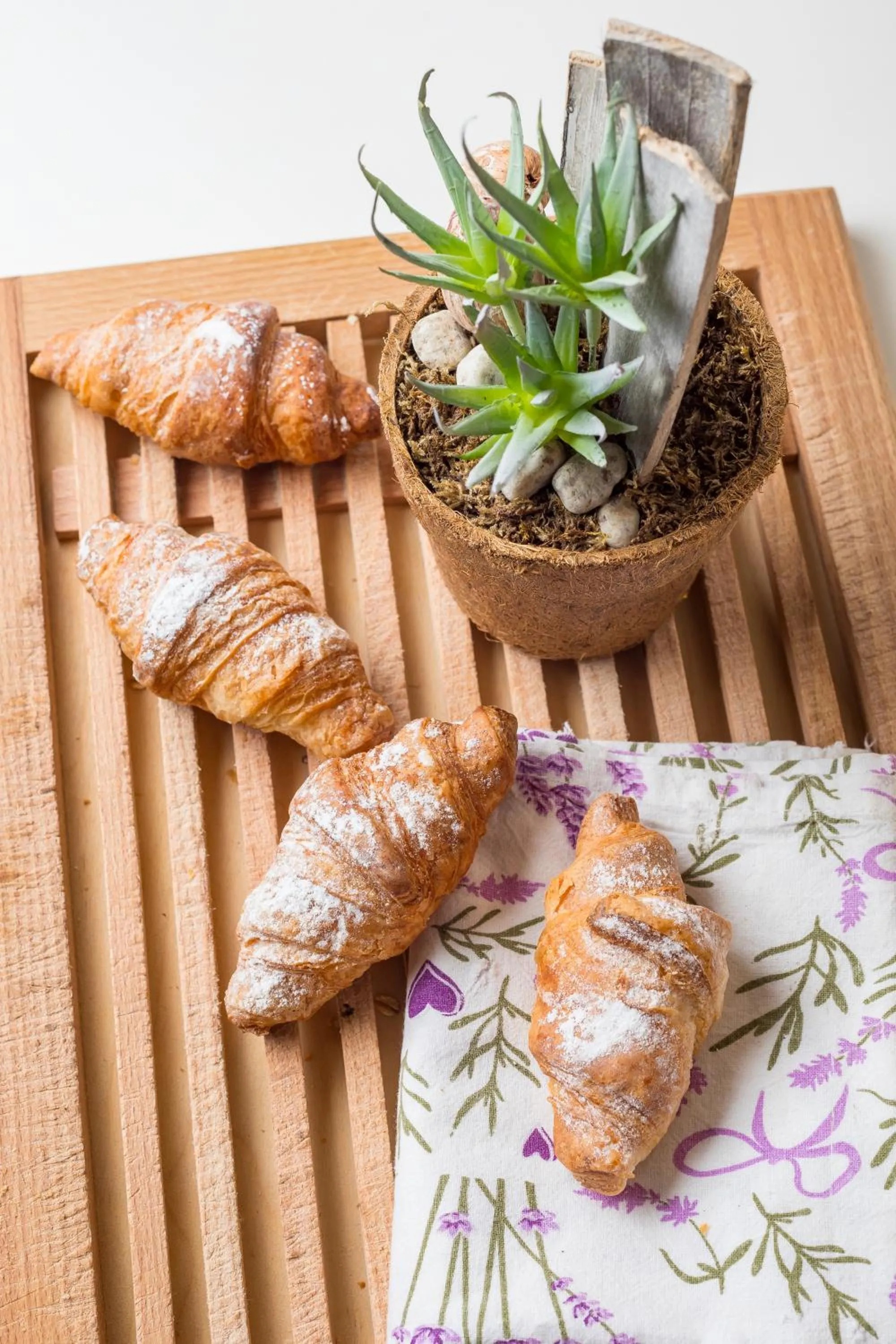 Breakfast in Hotel Bio