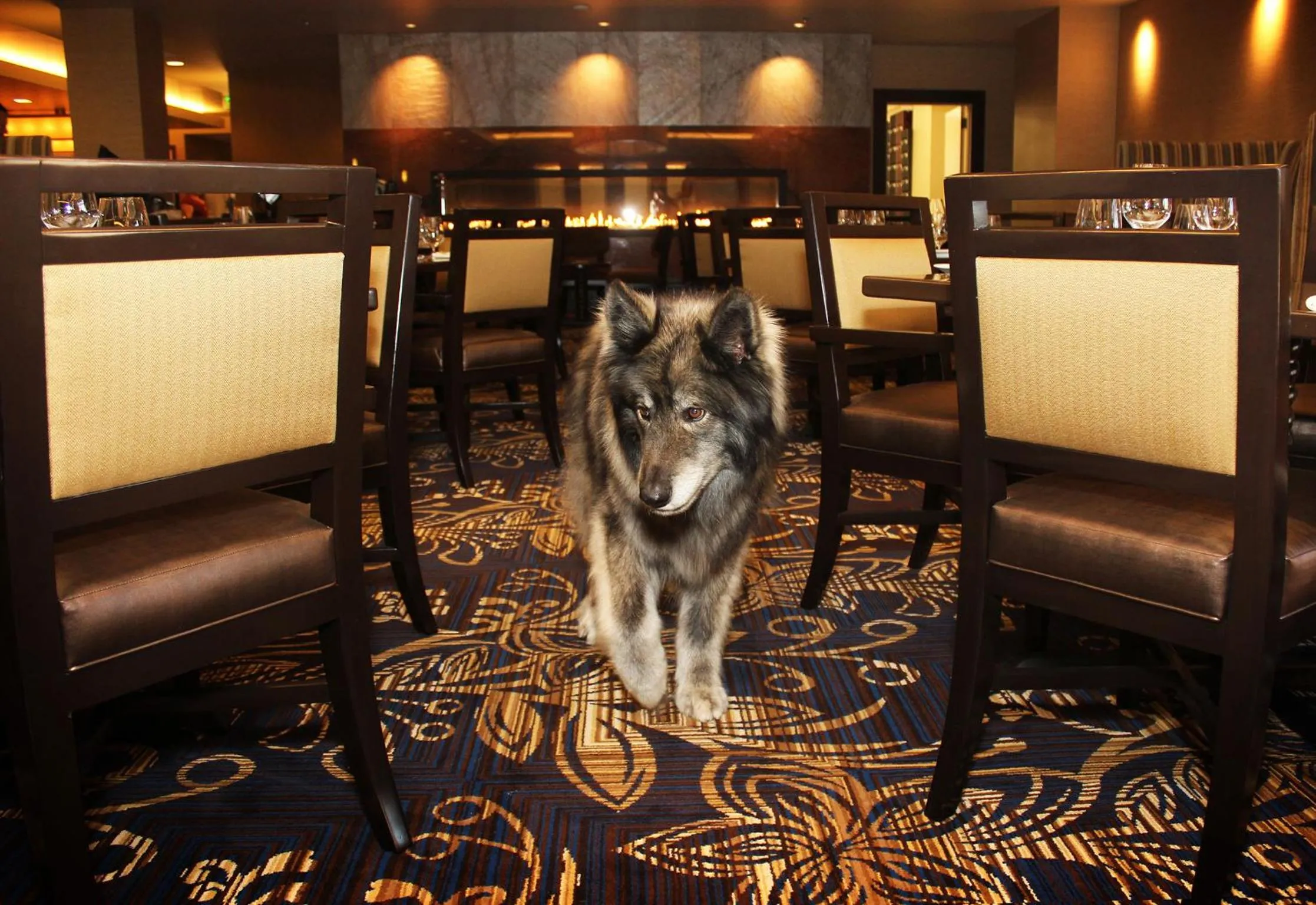 Restaurant/places to eat in Jackson Rancheria Casino Resort